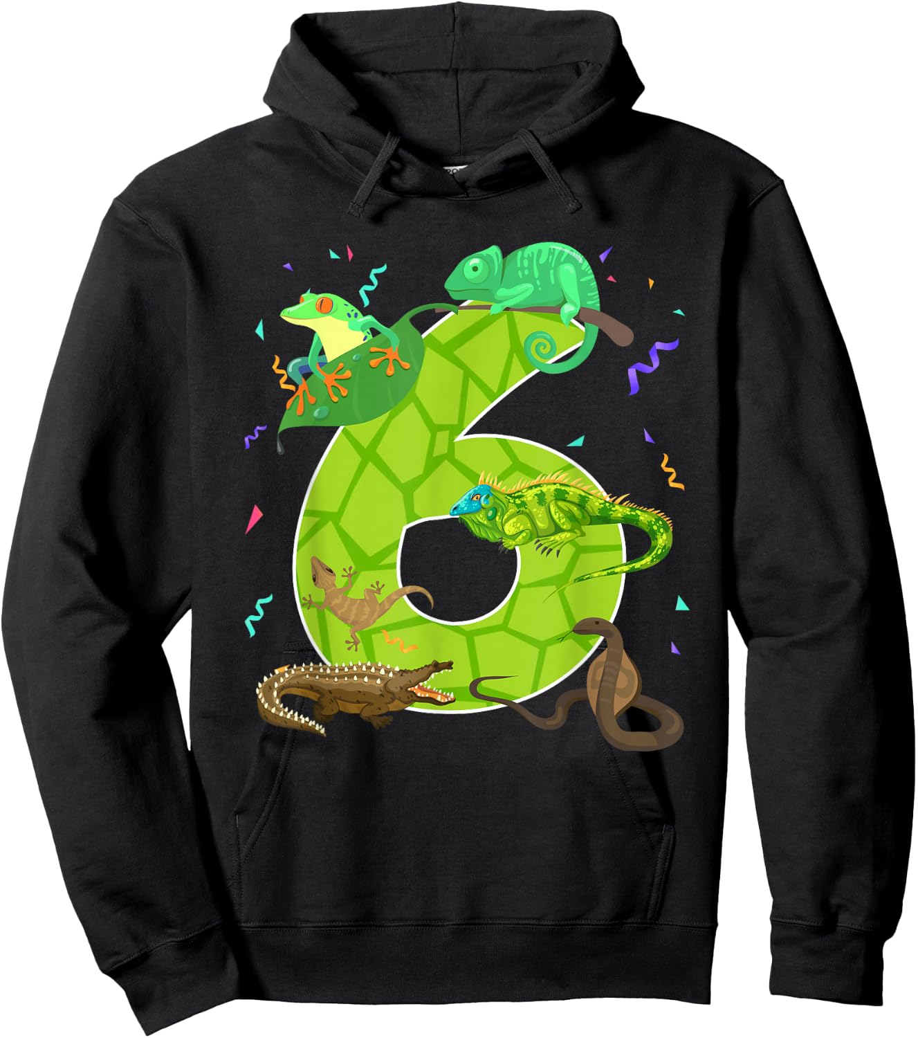 6 Year Old Boys Girls 6th Reptile Theme Birthday Party Hoodie - Hoodie | Black