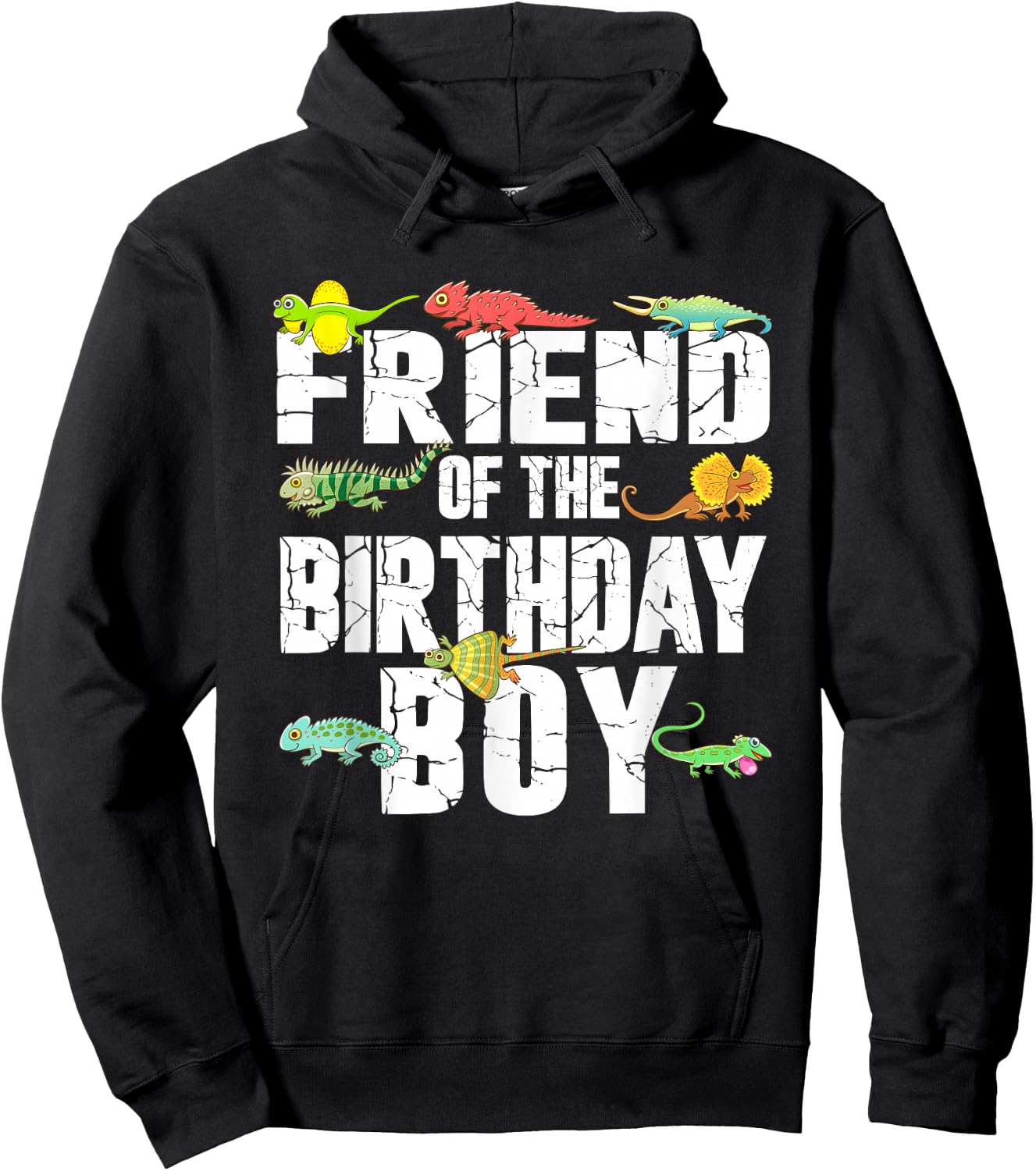 Friend of The Birthday Boy Reptiles Lizard Themed Party Hoodie - Hoodie | Black