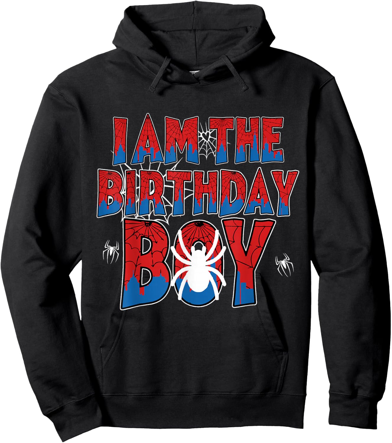 Spider Web Birthday Party I Am The Birthday Boy Family Hoodie - Hoodie | Black
