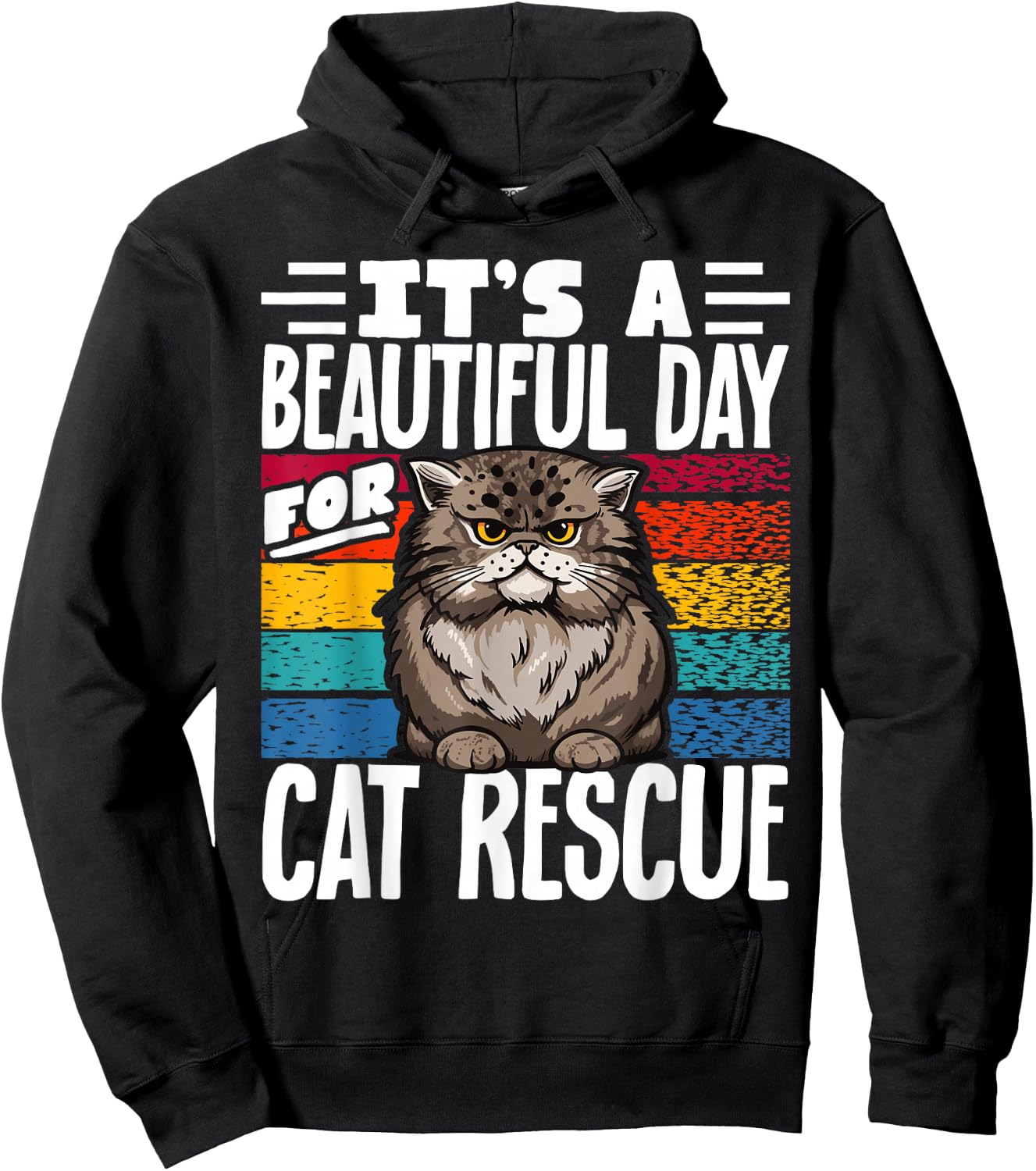 It's A Beautiful Day For Cat Rescue Hoodie - Hoodie | Black