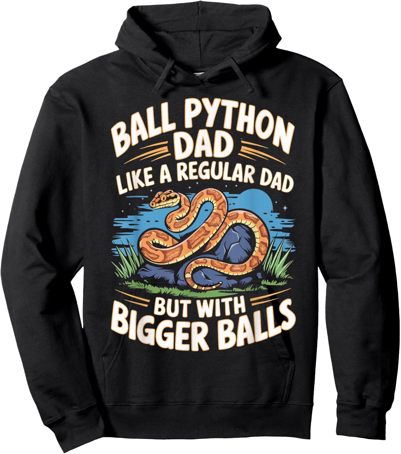 Ball Python Dad Bigger Balls Snake Pet Funny Ball Python Hoodie - Hoodie | Black