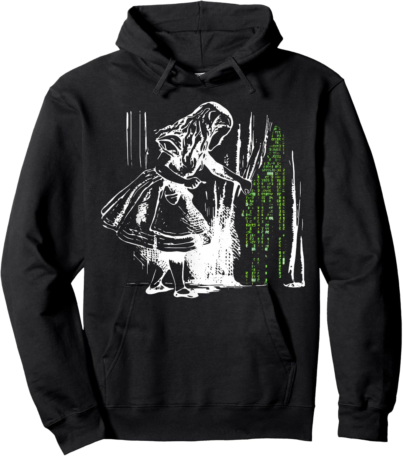 Alice in Matrix Land Programmierer Hoodie - Hoodie | Black