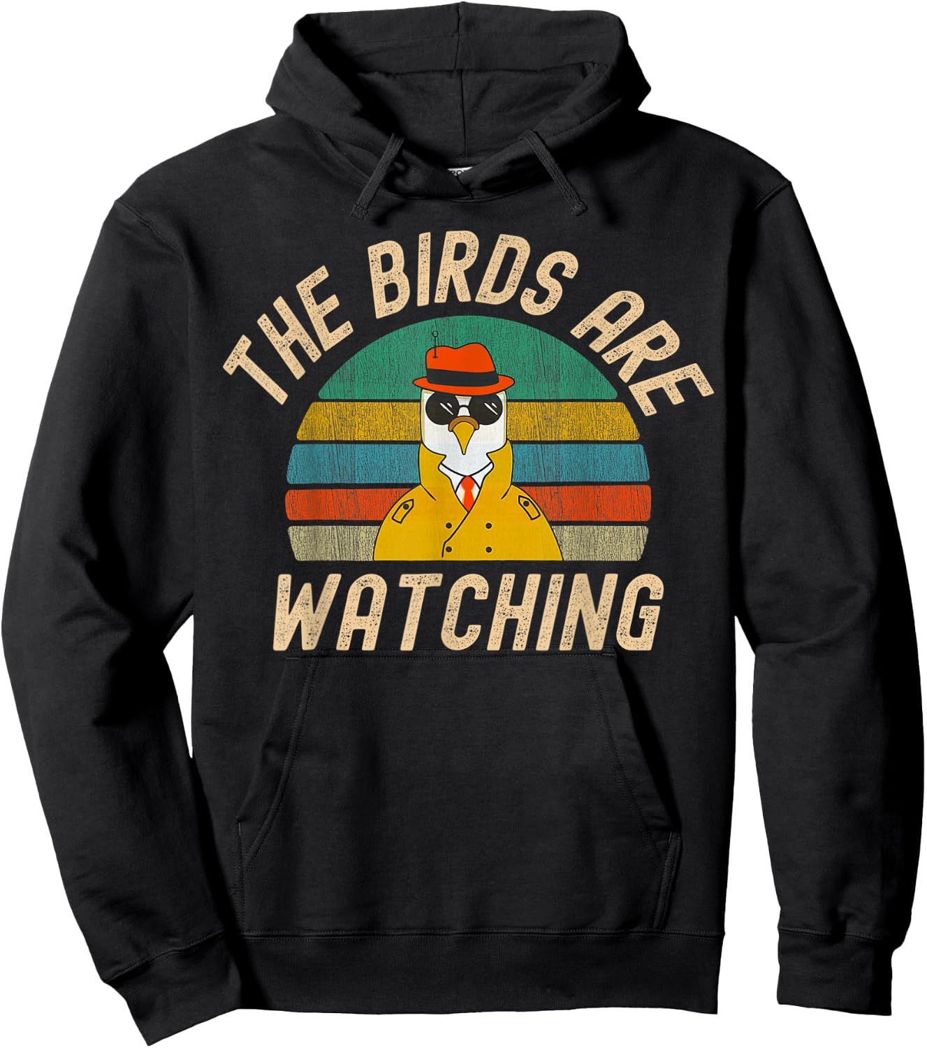 The Birds Are Watching Wake Up America Birds Arent Real Hoodie - Hoodie | Black