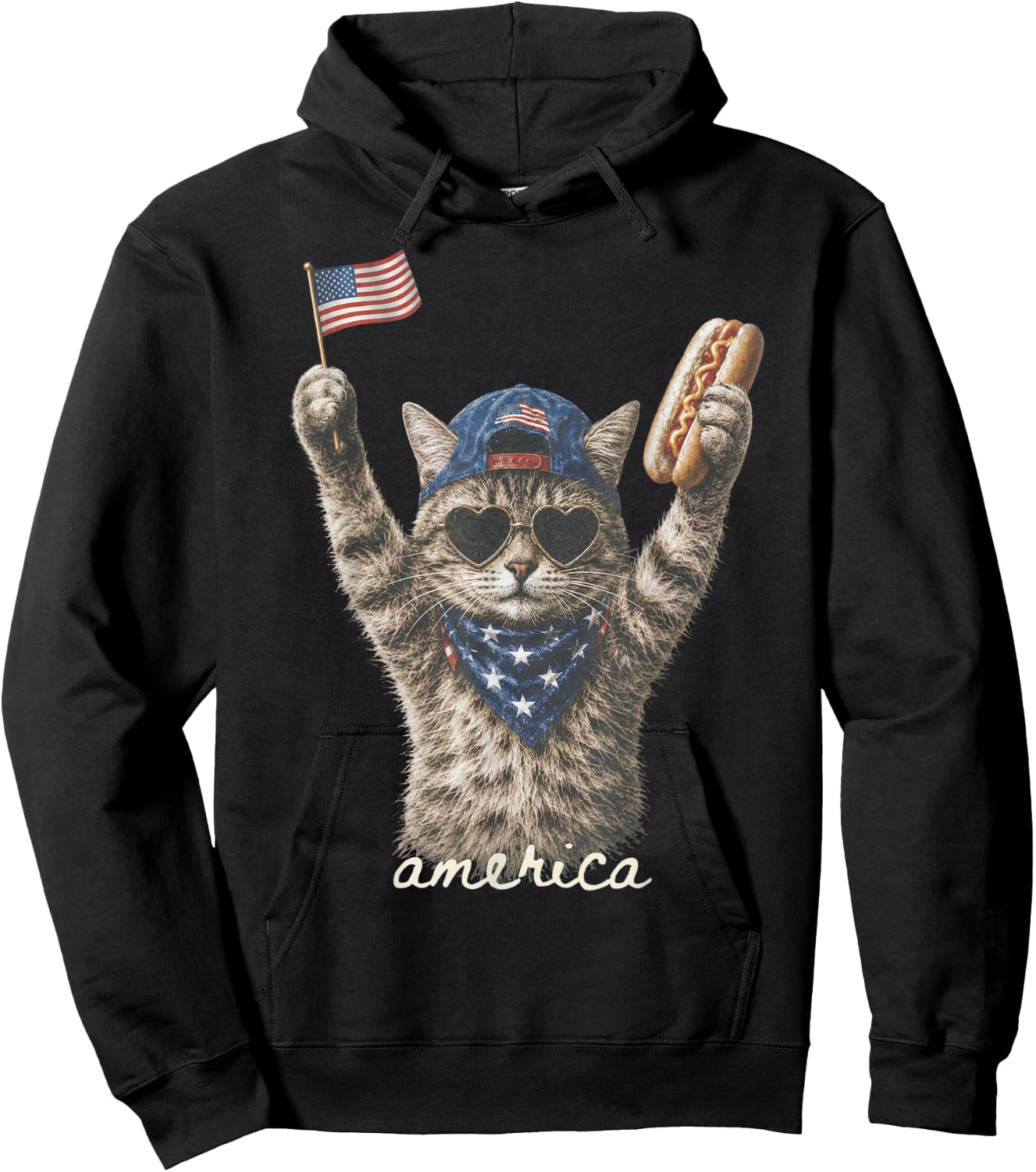 Funny America Cat Hotdog 4th of July US Flag Patriotic Hoodie - Hoodie | Black