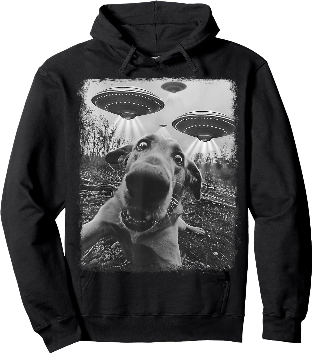 Chesapeake Bay Retriever Dog UFO Alien Extraterrestrial Hoodie - Hoodie | Black