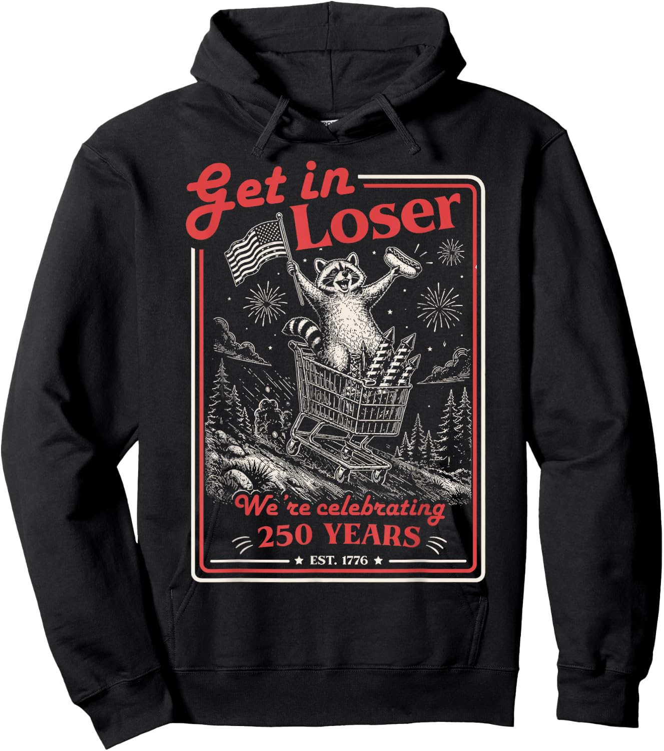 Get in Loser We're Celebrating 250 Years Patriotic Raccoon Hoodie - Hoodie | Black