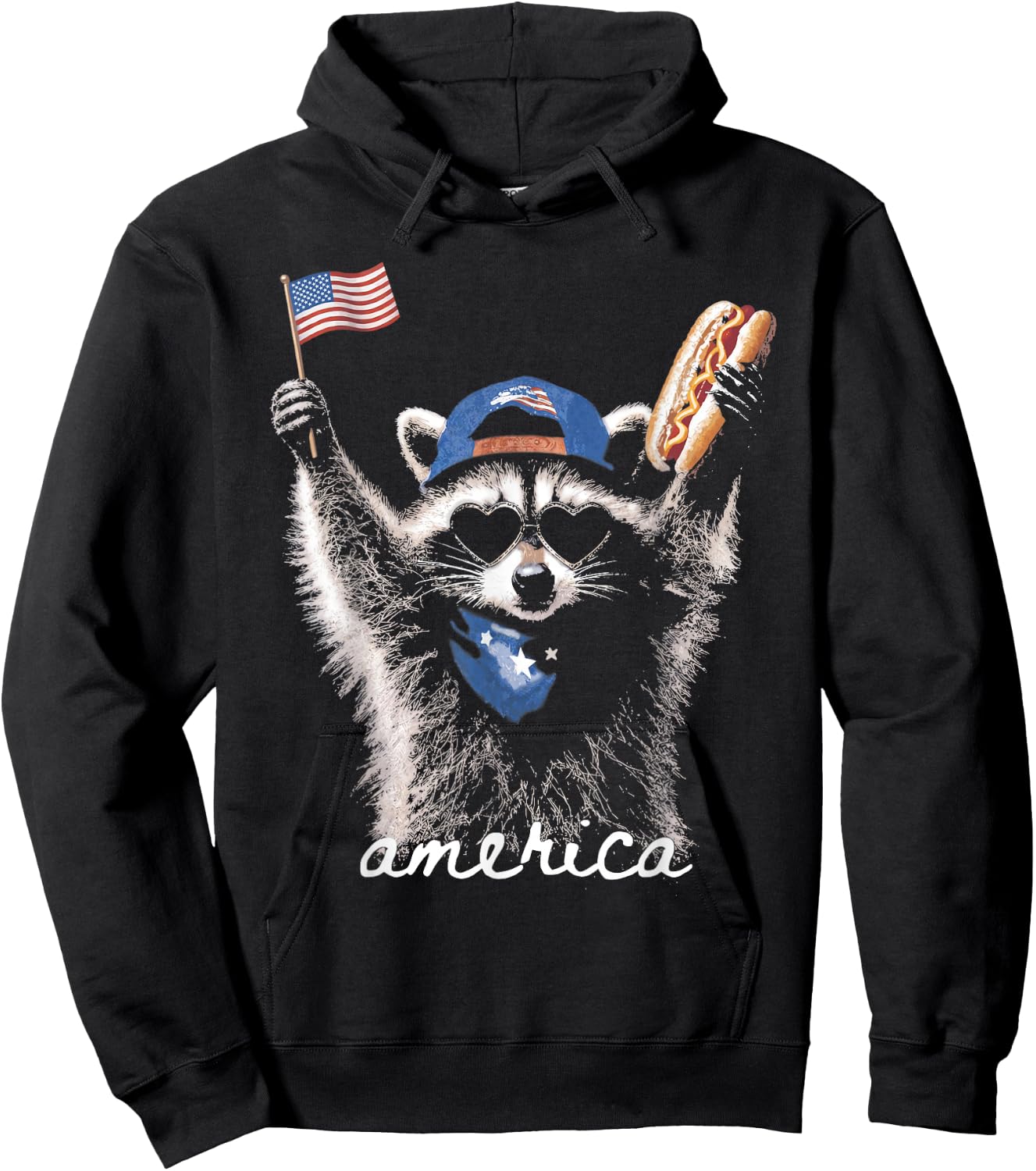 Retro Funny America Raccoon Hot Dog Lovers Patriotic US Flag Hoodie - Hoodie | Black