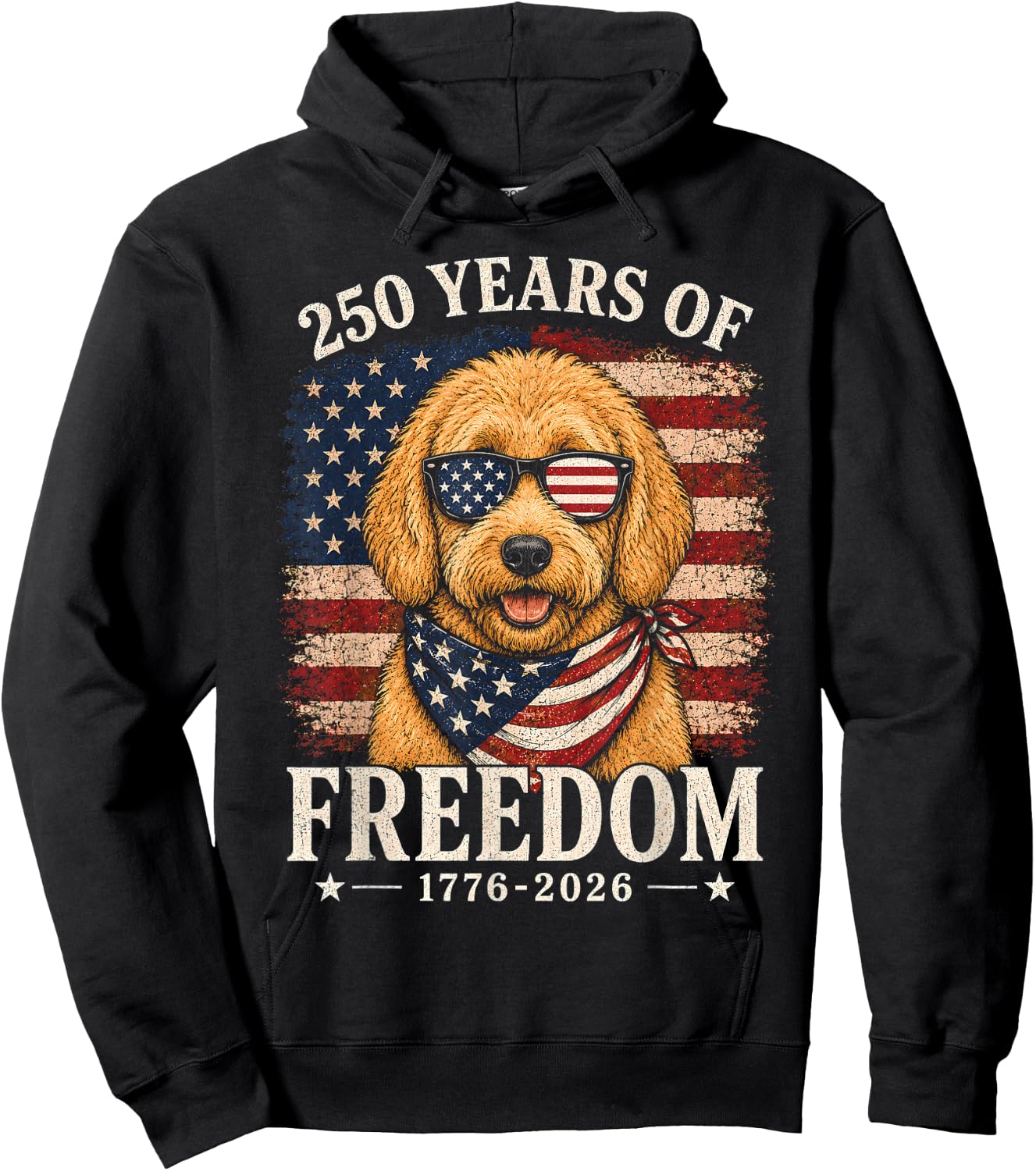 250th Anniversary USA Doodle Hoodie - Hoodie | Black