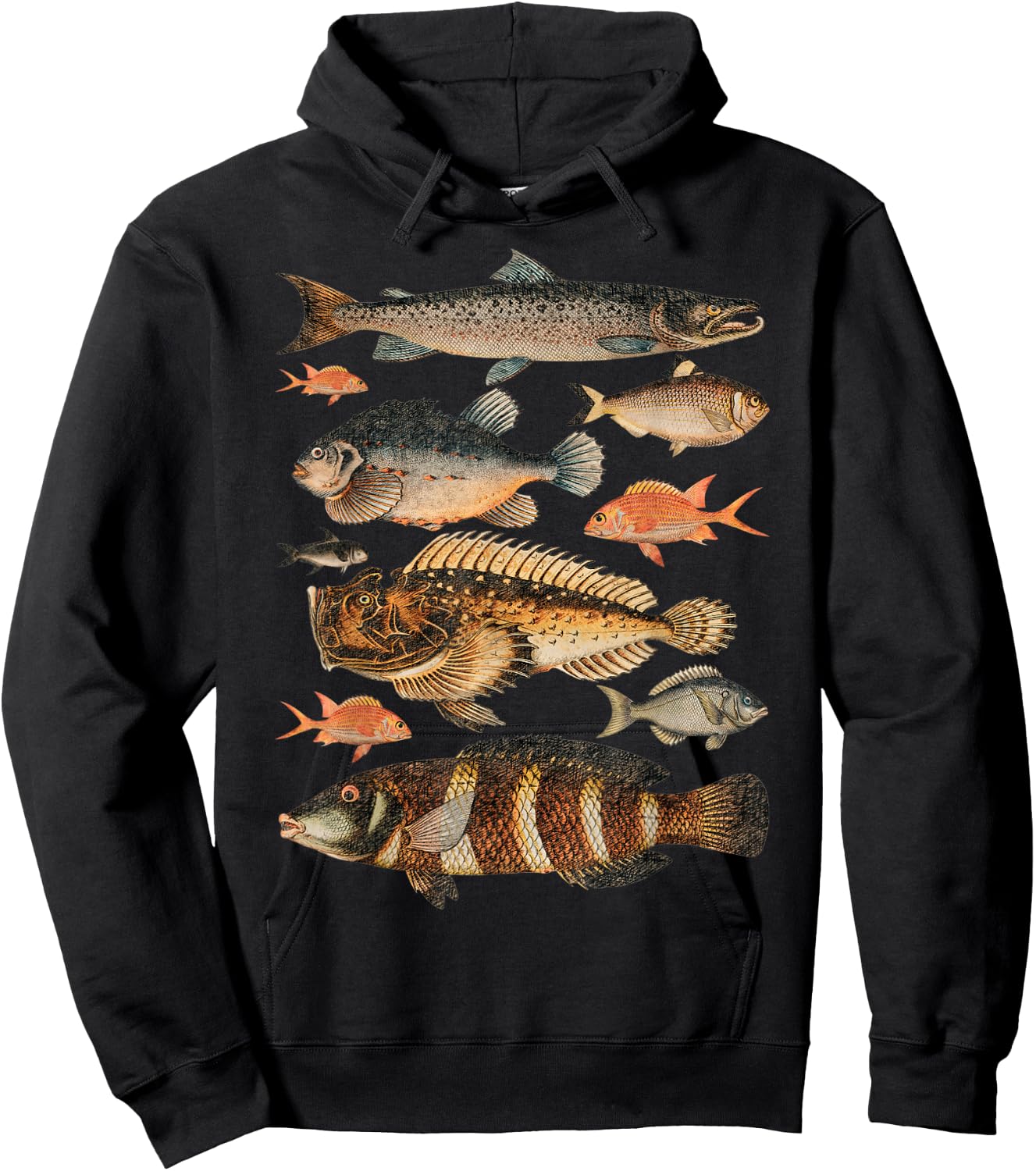 Fish Species Biology Sketch For Kids & Fisherman - Fishing Hoodie - Hoodie | Black