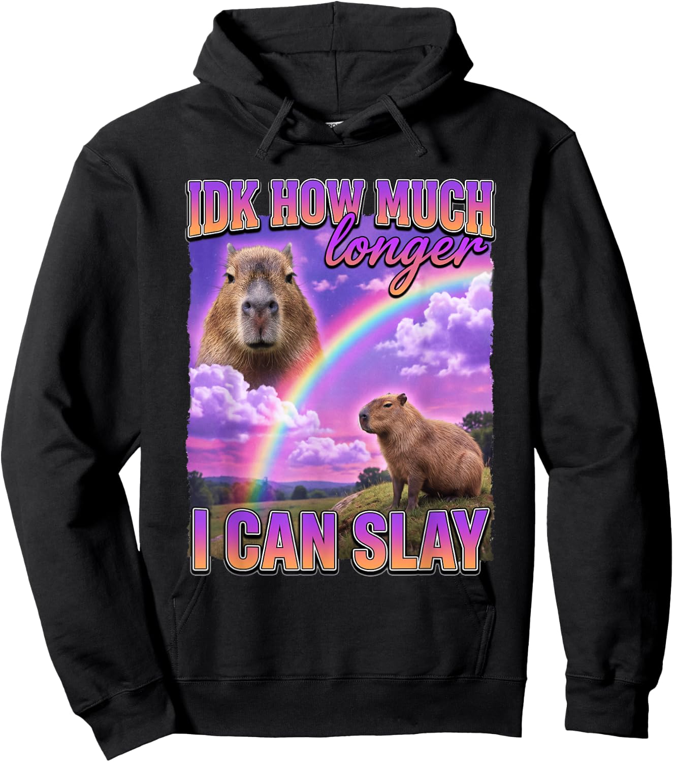 Funny Capybara Meme IDK How Much Longer I Can Slay Hoodie - Hoodie | Black
