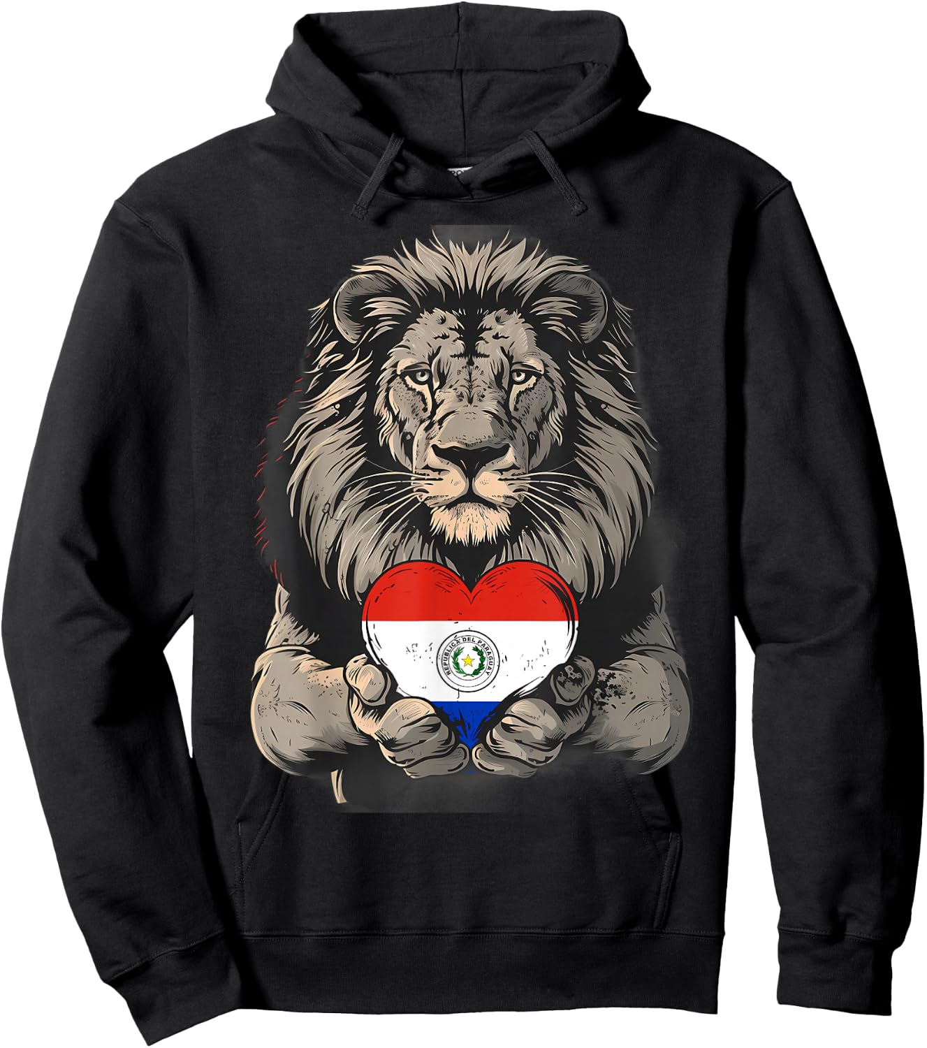 Paraguayan Pride Paraguayan Flag Lion Paraguay Heart Hoodie - Hoodie | Black