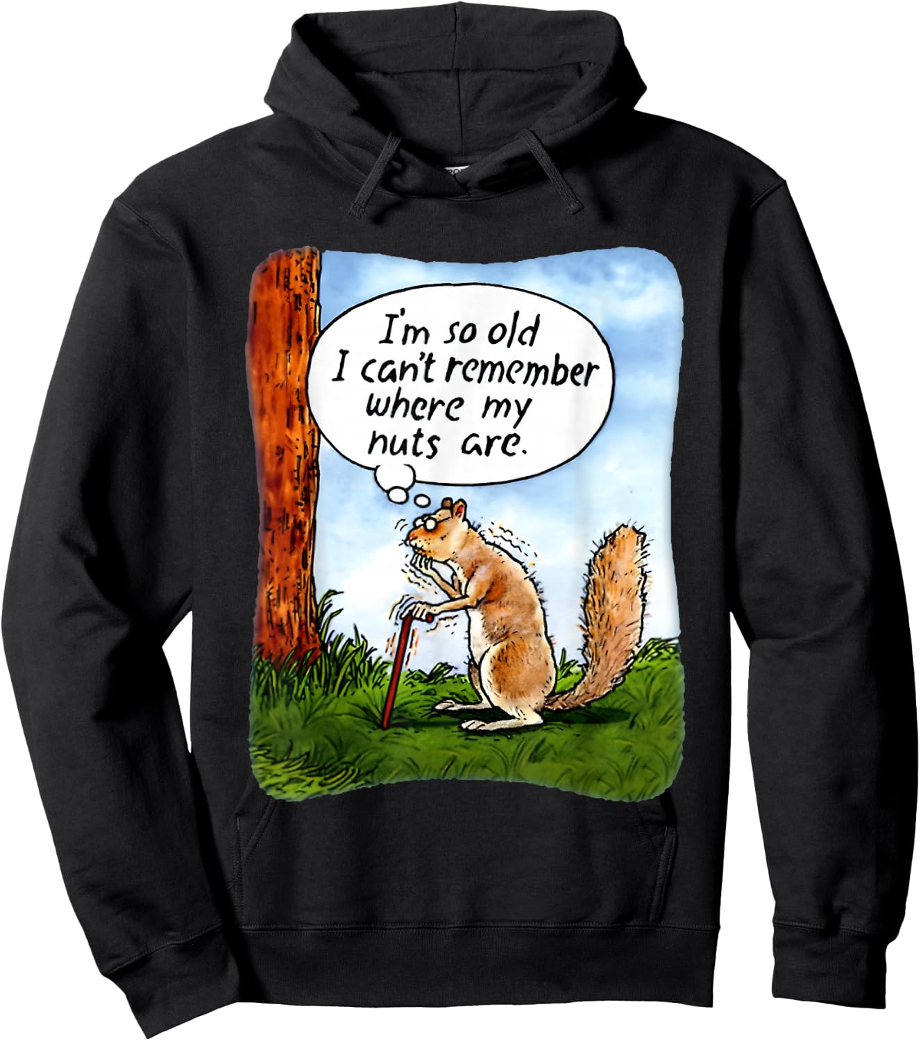 Squirrel I’m So Old I Can’t Remember Where My Nuts Are Hoodie - Hoodie | Black