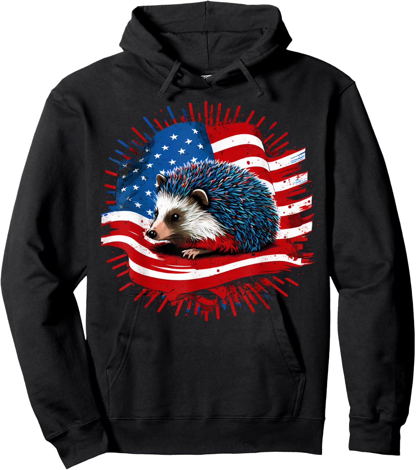 USA 4th Of July Hedgehog on Patriotic American Hedgehog Hoodie - Hoodie | Black