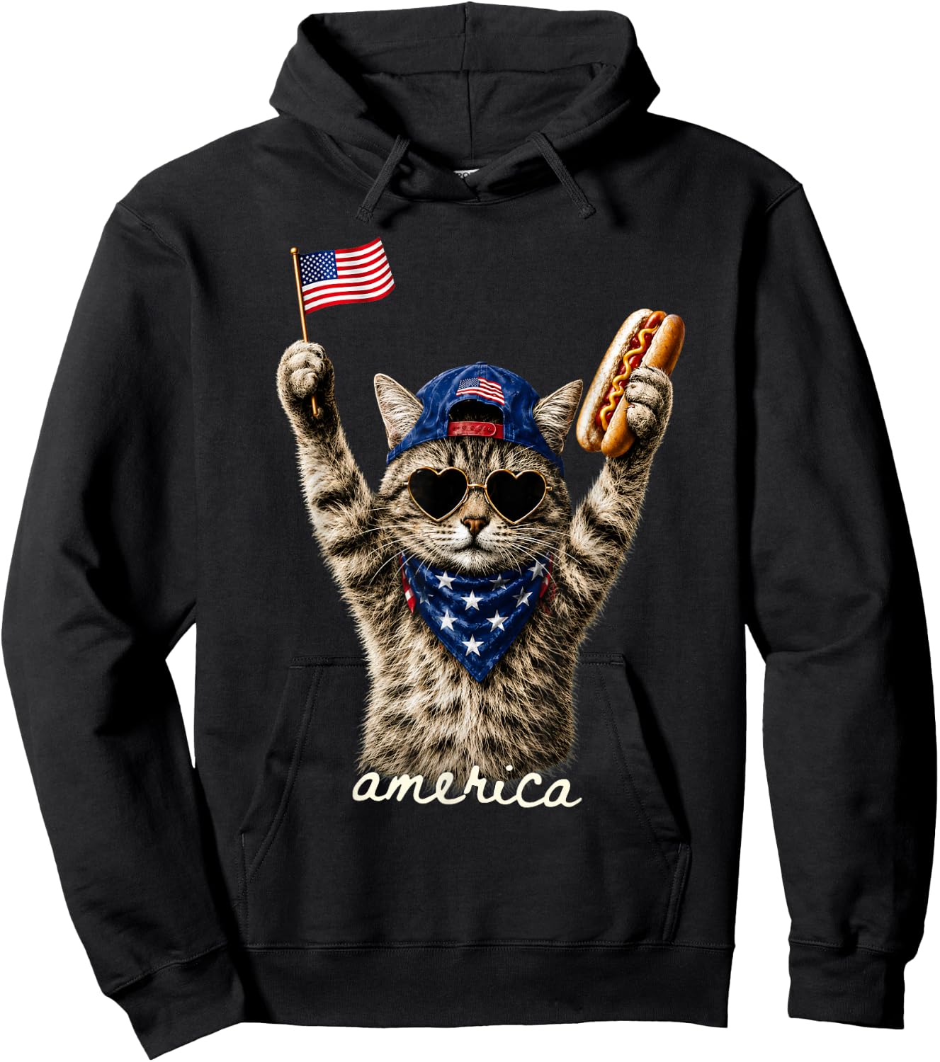 Patriotic Cat American Flag Hot Dog 4th of July Hoodie - Hoodie | Black