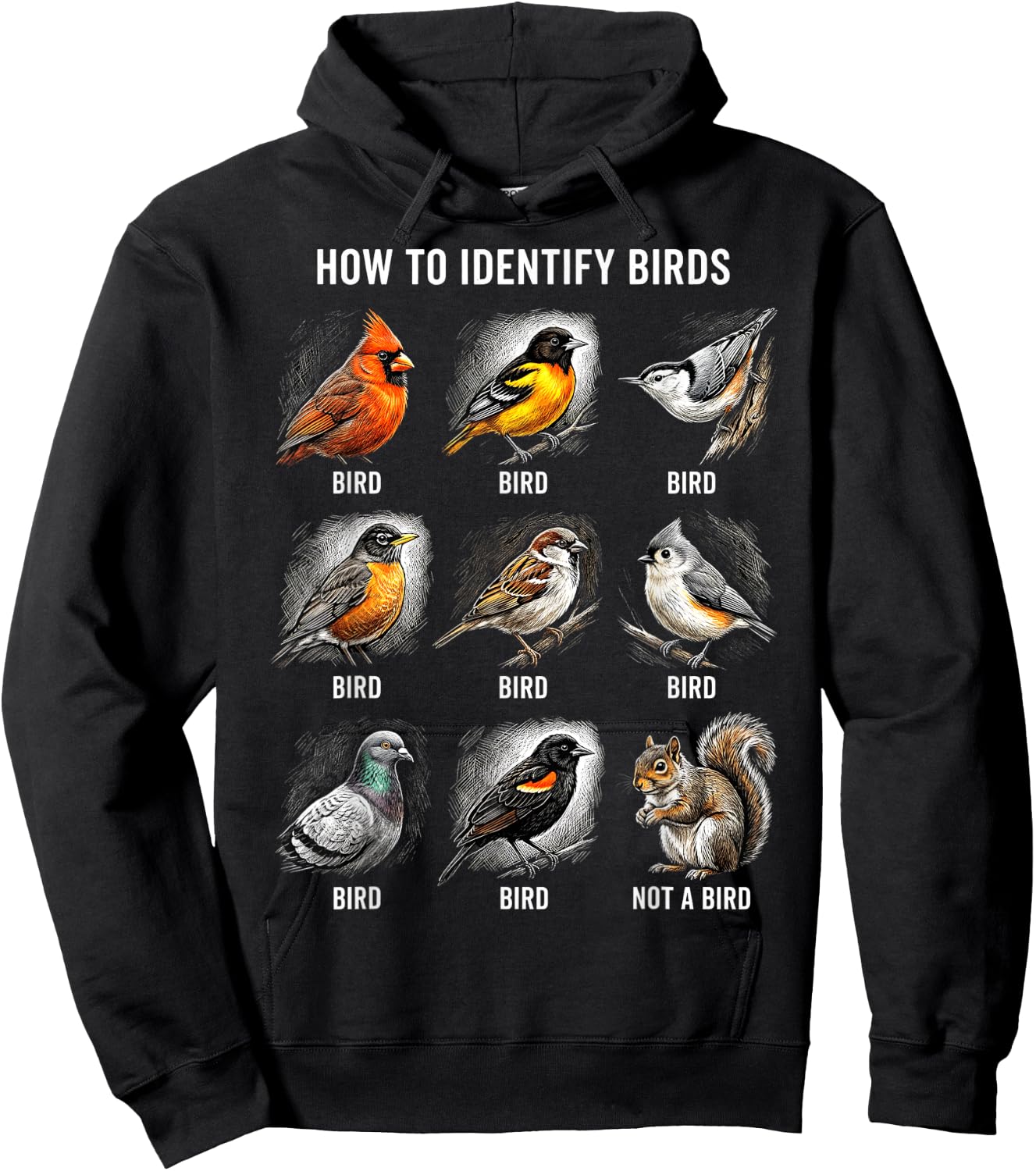 Vögel Bestimmen Lustiges Eichhörnchen Vogelbeobachtung Hoodie - Hoodie | Black