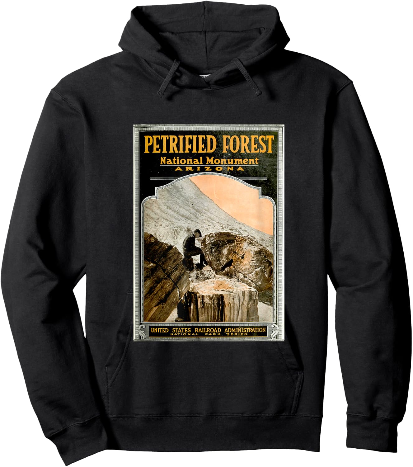 Petrified Forest National Park T Shirt Hoodie - Hoodie | Black