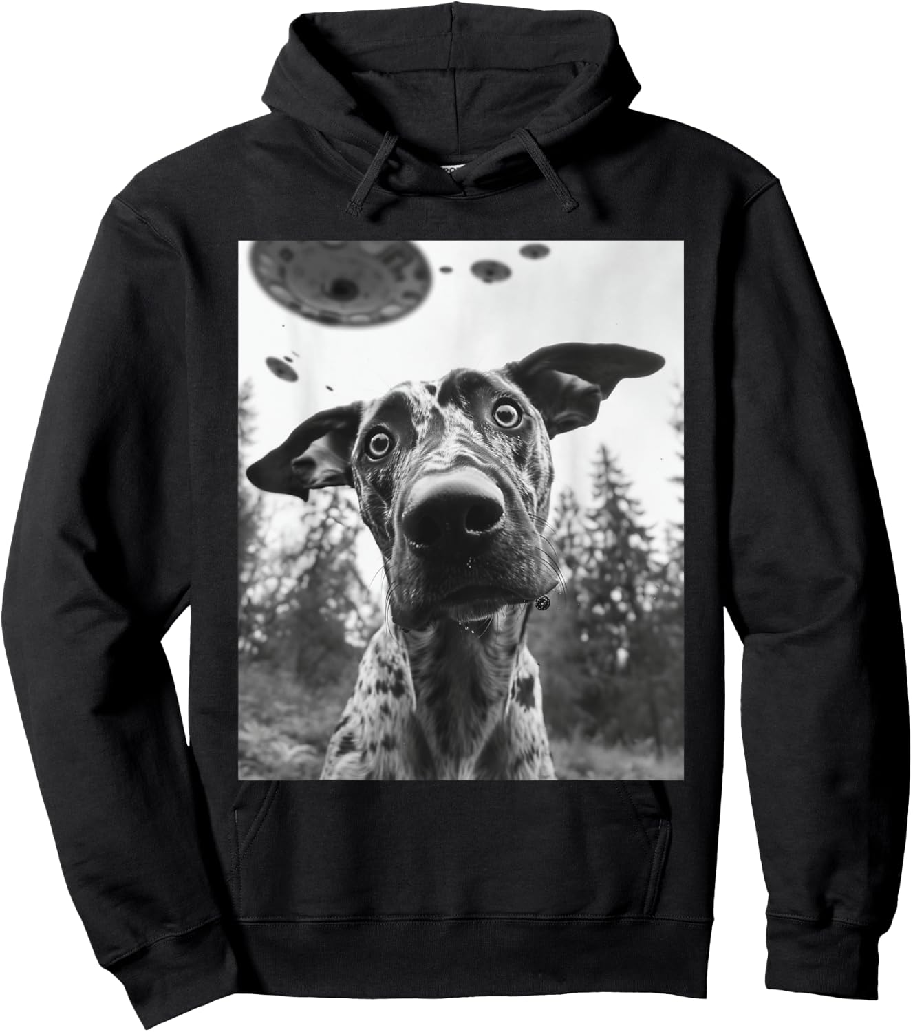 Dog Mom Dad - Funny Alien Selfie Catahoula Leopard UFO Hoodie - Hoodie | Black