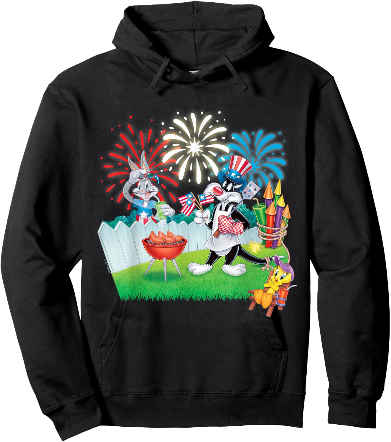 Looney Tunes 4th of July Celebration Hoodie - Hoodie | Black