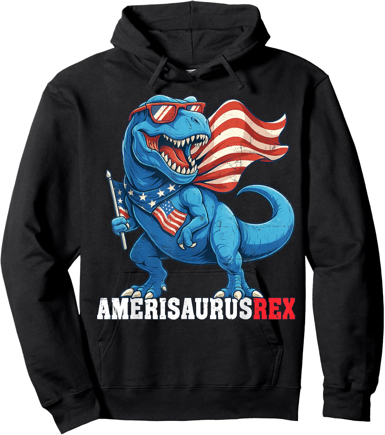 Dinosaur 4th of July Boys Girls Men Amerisaurus T Rex Funny Hoodie - Hoodie | Black