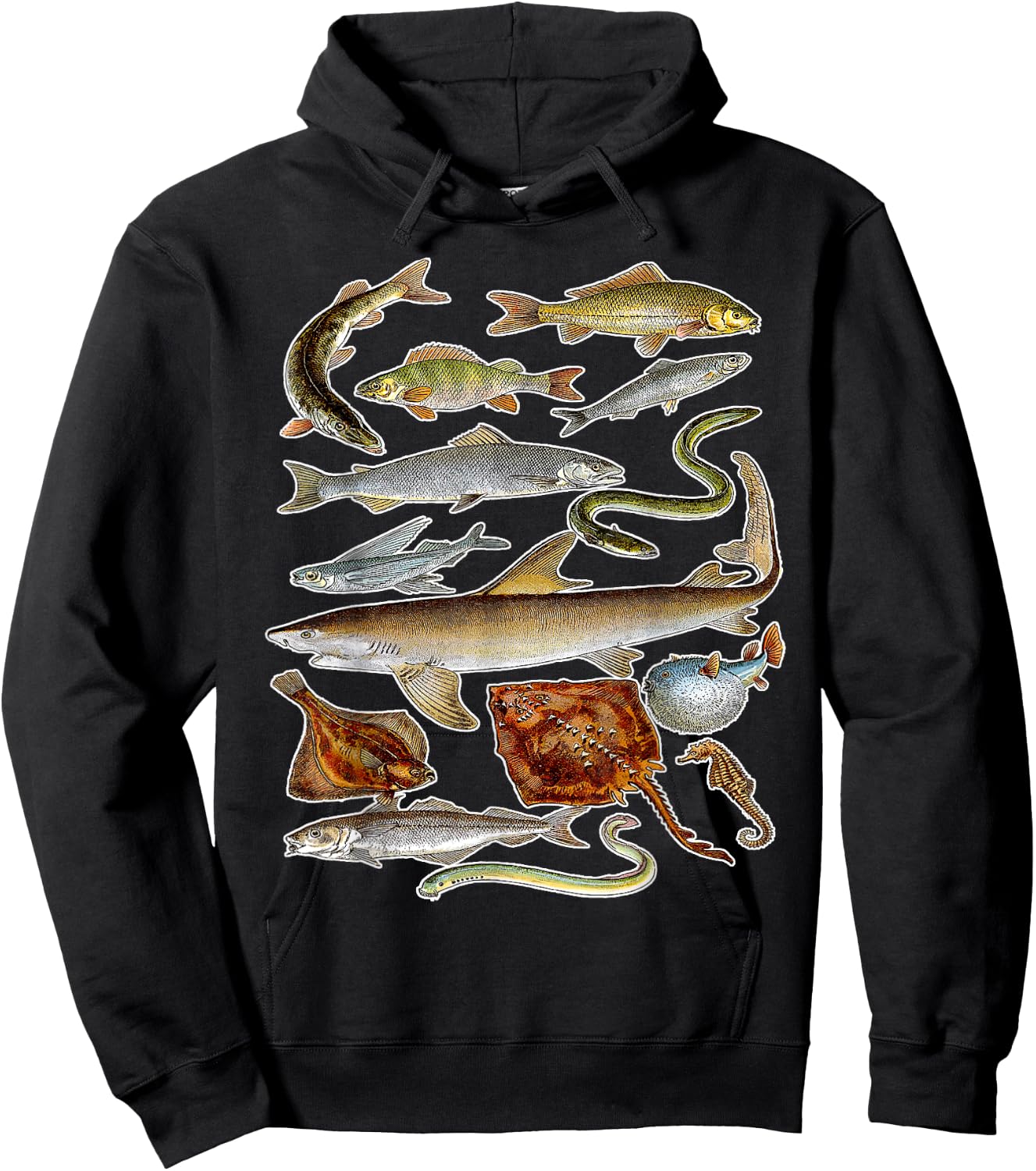 Sea Animals - Fish Sharks and Eels Illustration Hoodie - Hoodie | Black
