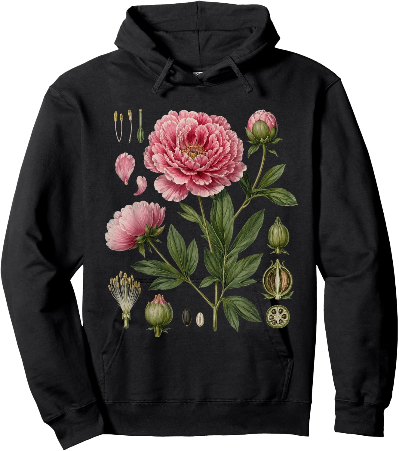 Peony Anatomy Botanical Illustration Women Flower Peony Hoodie - Hoodie | Black