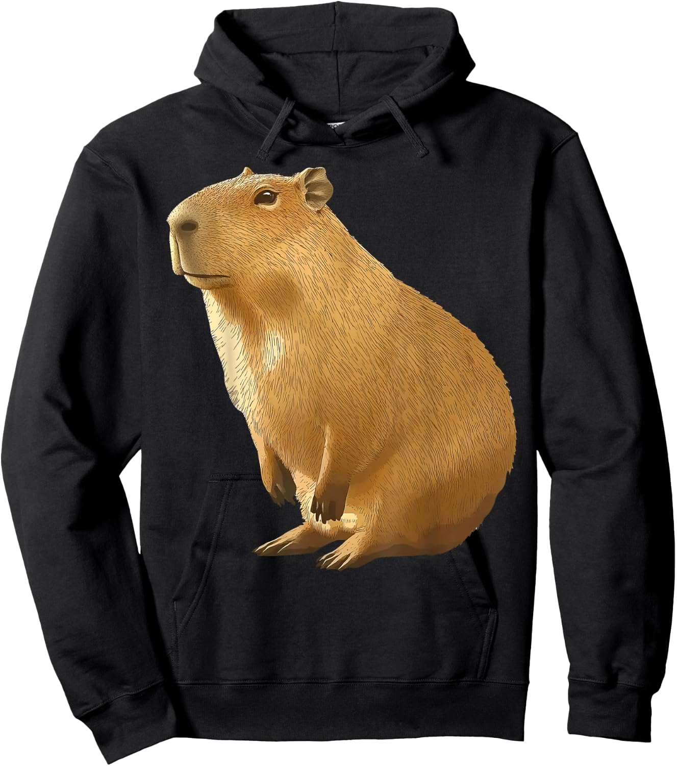 Cool Capybara Funny Capy Lover Men Women Teen Boys Kids Hoodie - Hoodie | Black