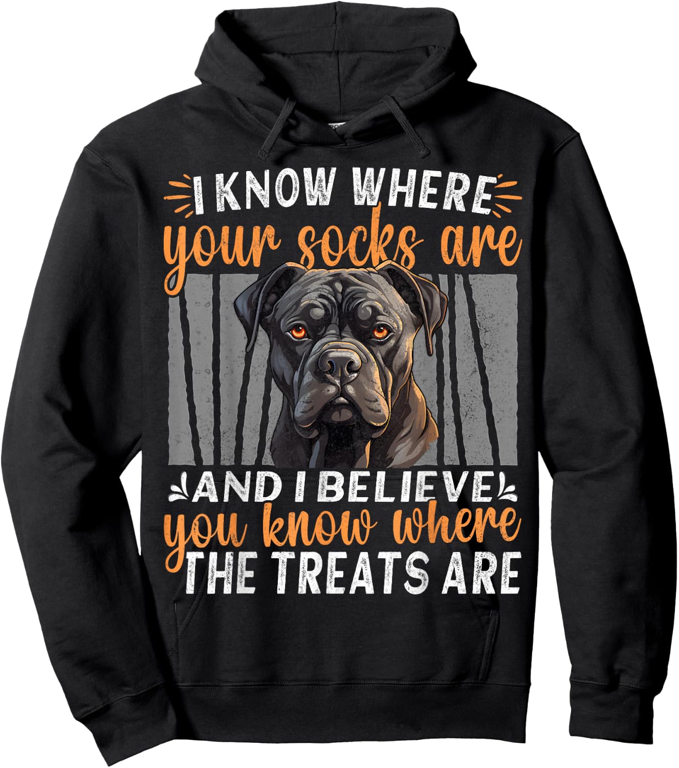 Black Corso Italiano Sayings Owner Outfit Dog Cane Corso Hoodie - Hoodie | Black