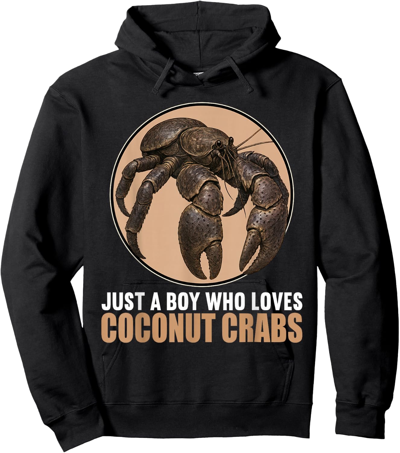 Just a Boy who loves Coconut Crabs Coconut Crab Hoodie - Hoodie | Black