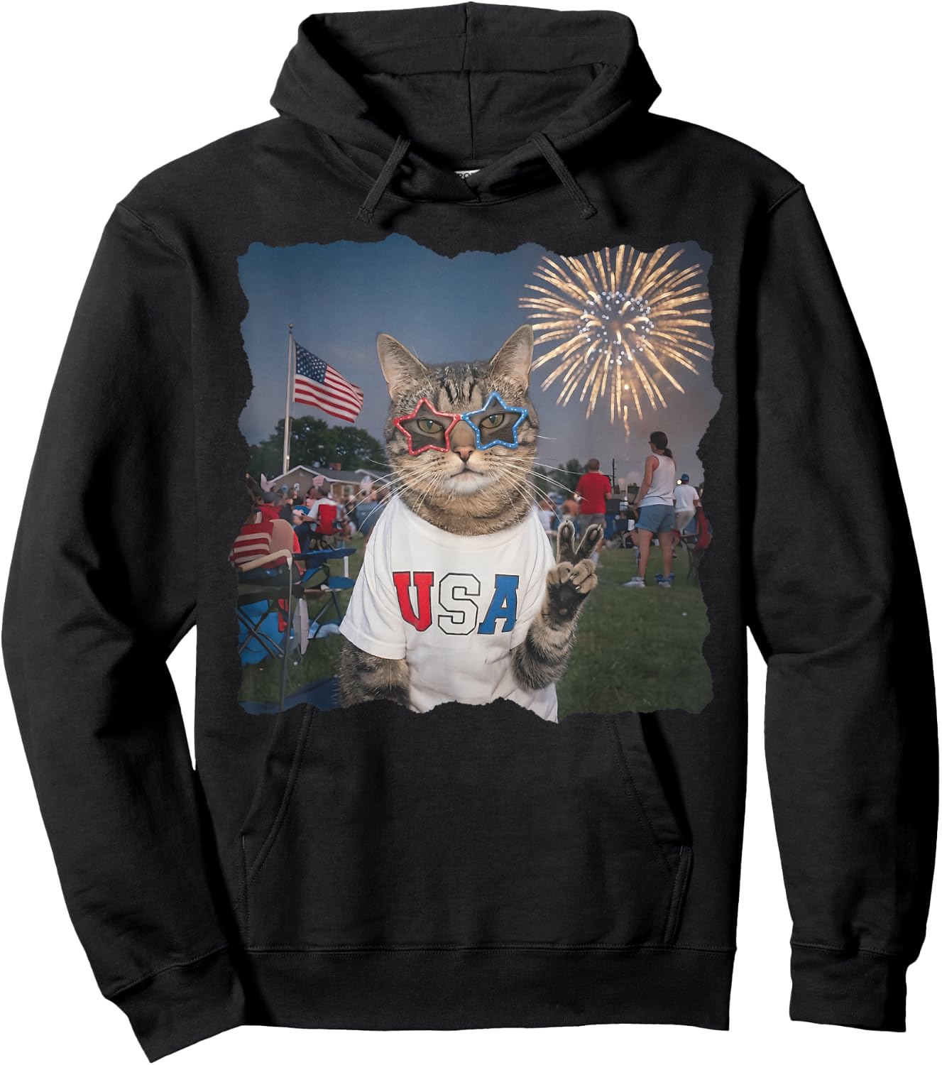 4th of July USA 250 Years Fireworks Funny Patriotic Cat Meme Hoodie - Hoodie | Black