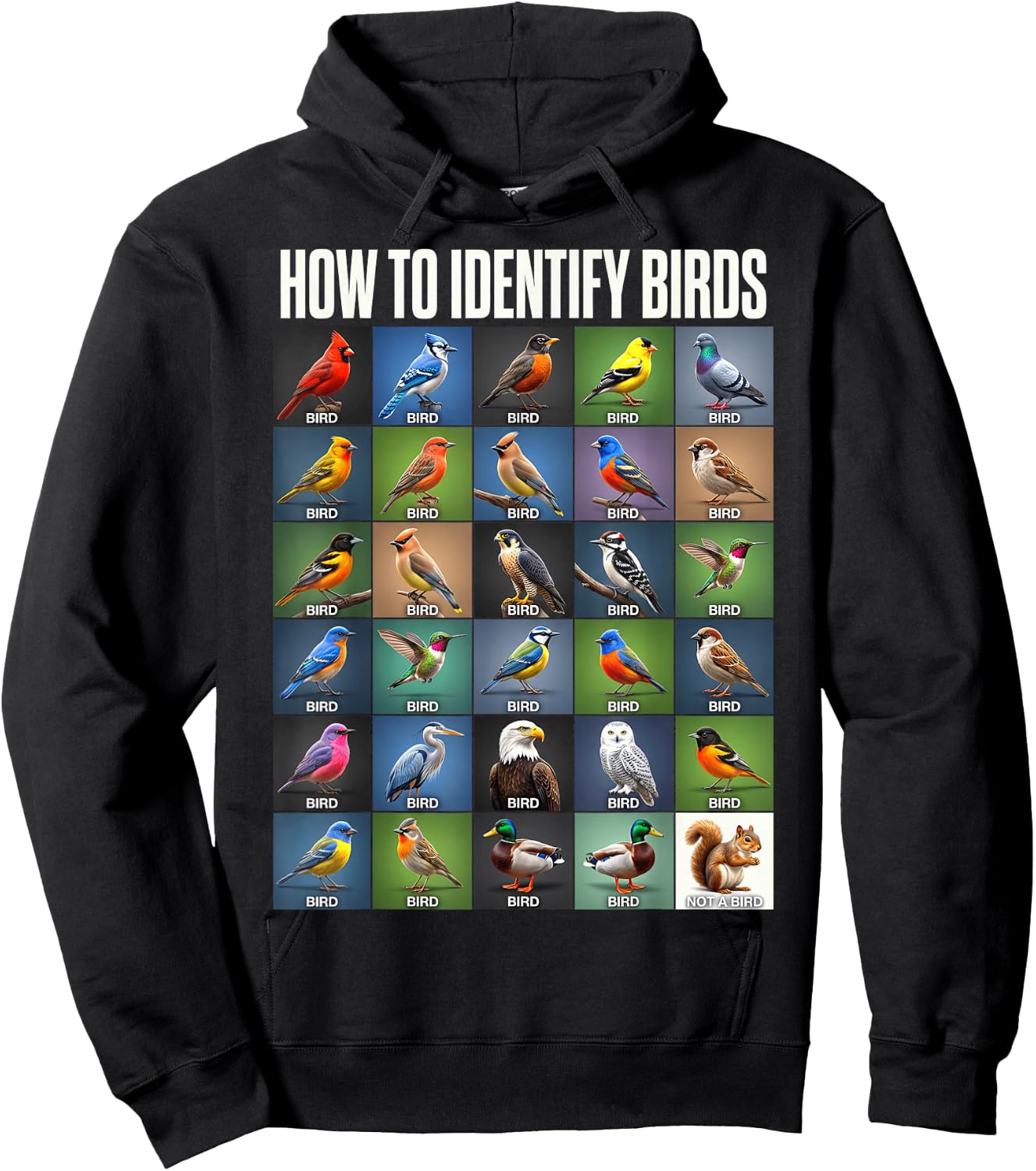 Vögel Bestimmen Lustiges Eichhörnchen Vogelbeobachtung Hoodie - Hoodie | Black