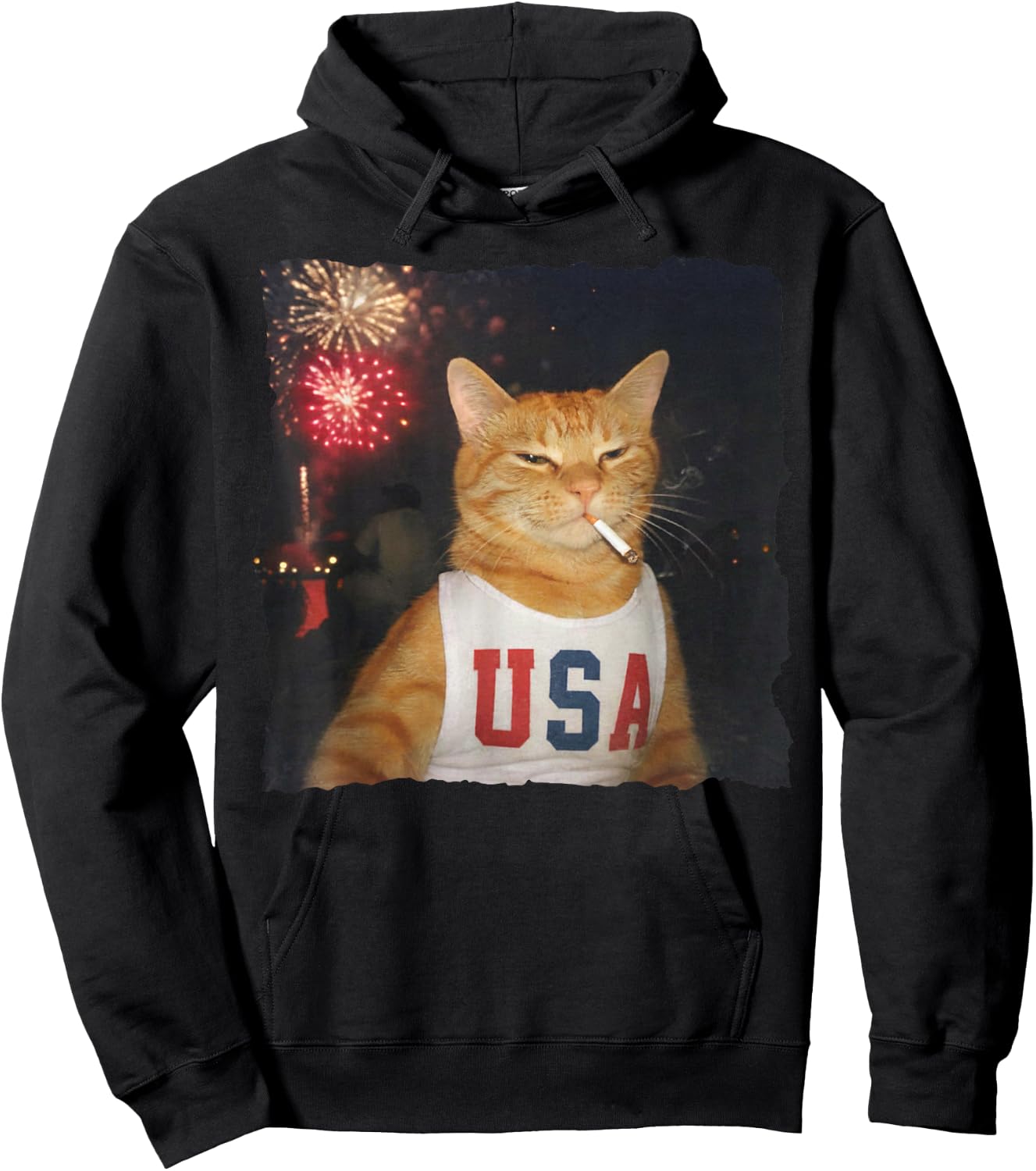July 4th Patriotic Cat Smoking Cigarette 250 Years Cat Lover Hoodie - Hoodie | Black