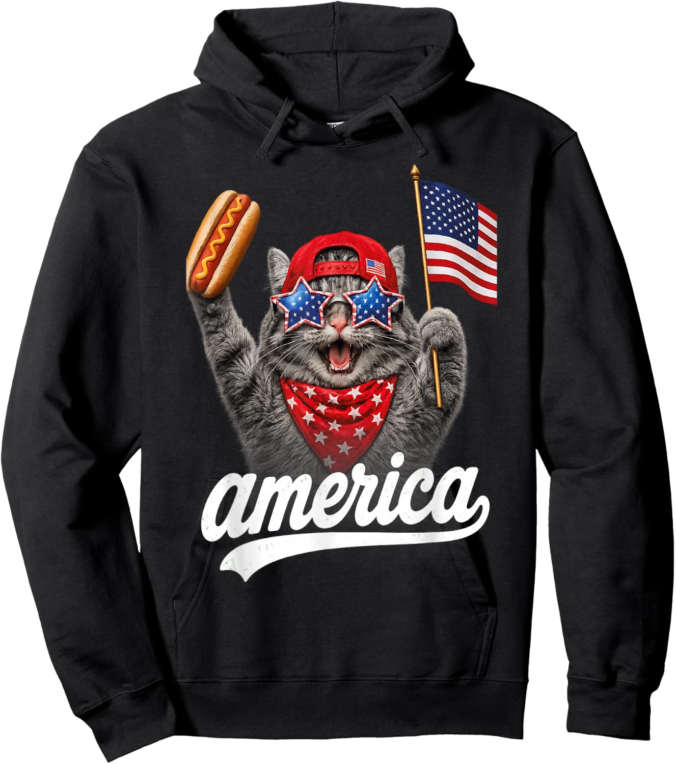 Funny Cat & Hot Dog Patriotic Cat USA Flag Hoodie - Hoodie | Black