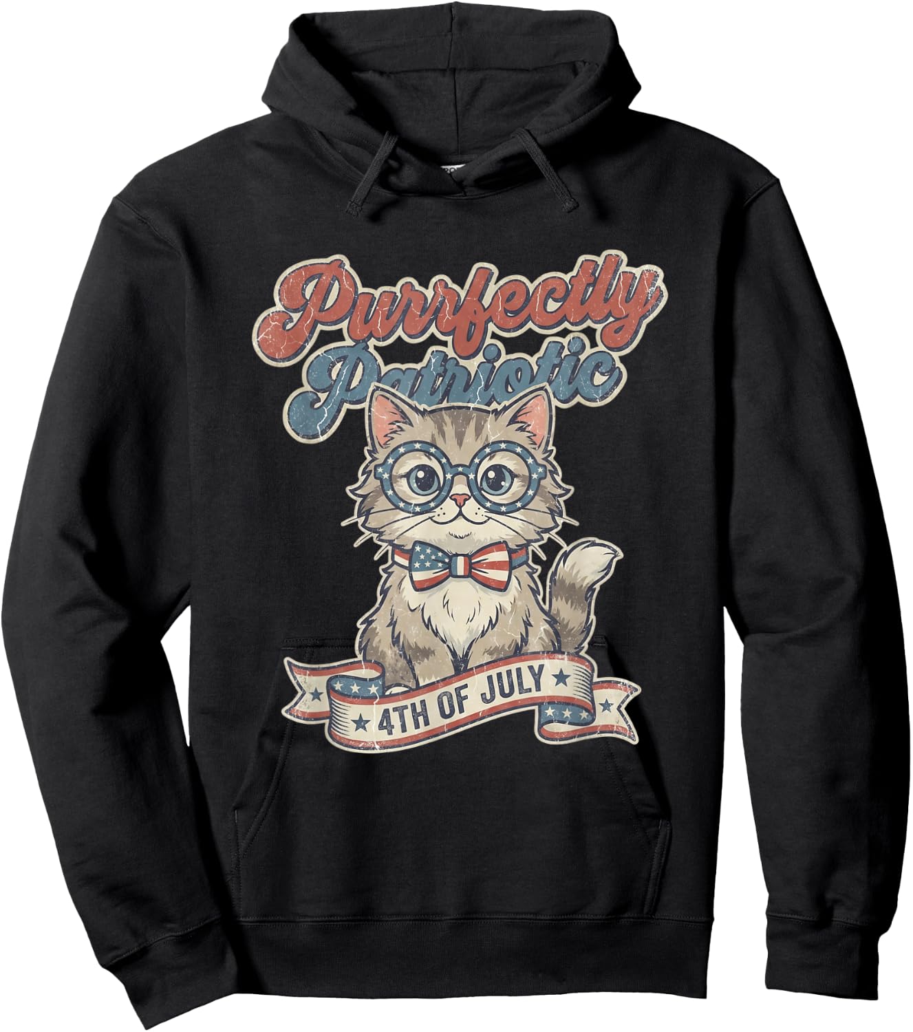 Purrfectly Patriotic Cat Vintage 4th of July Hoodie - Hoodie | Black