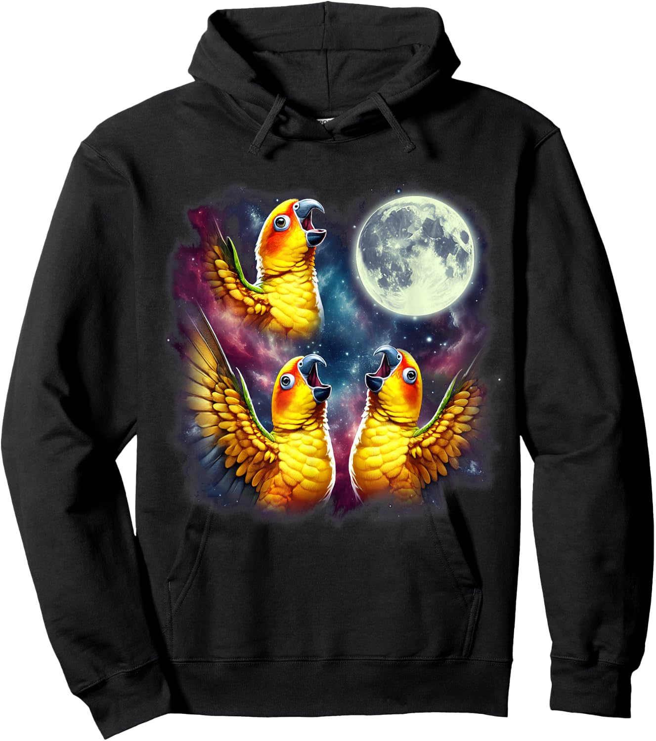 Three Sun Conures Howling at Moon Funny Meme Parrot Lover Hoodie - Hoodie | Black