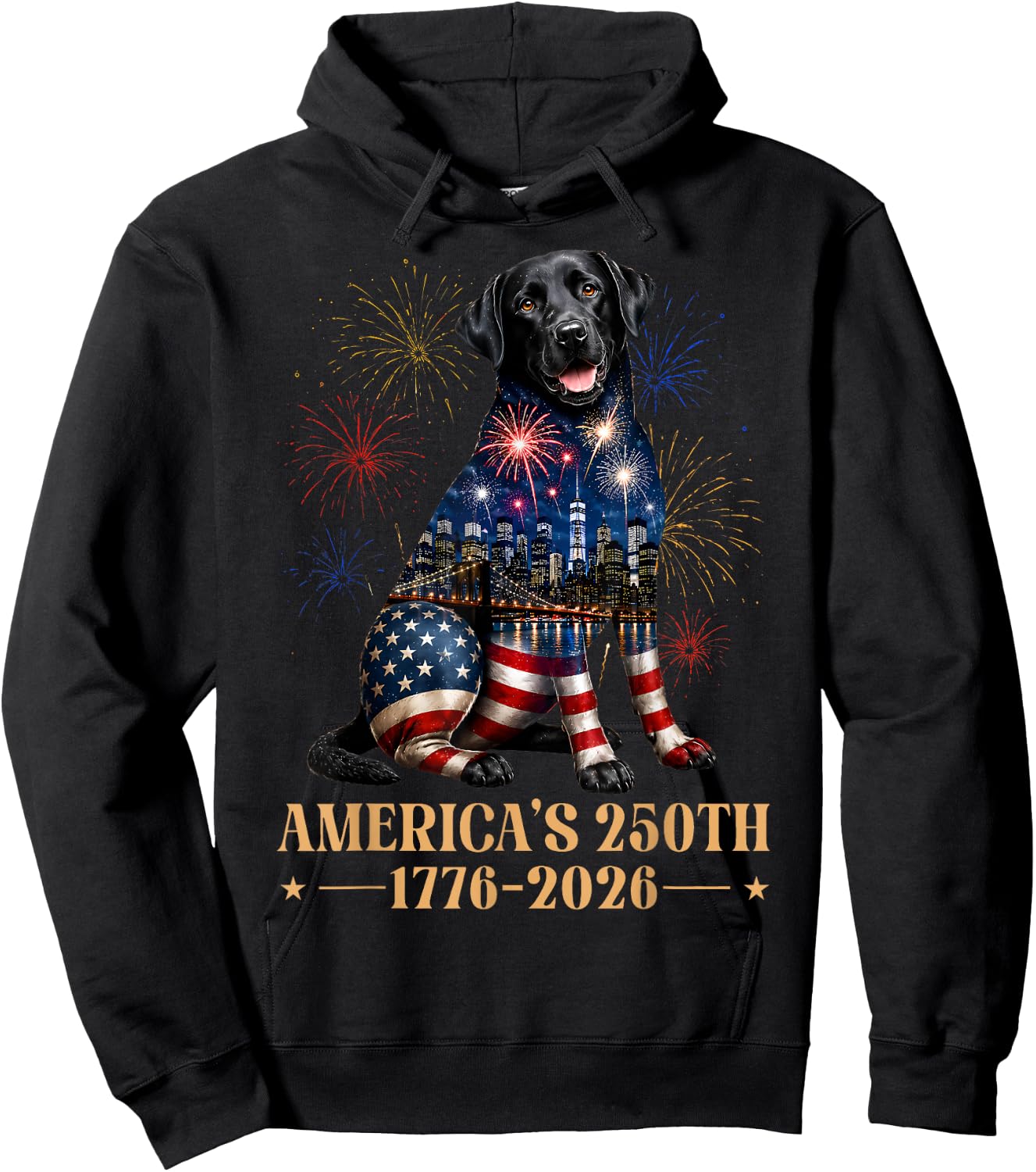 Fireworks 4th of July American Flag Patriotic Black Lab Dog Hoodie - Hoodie | Black