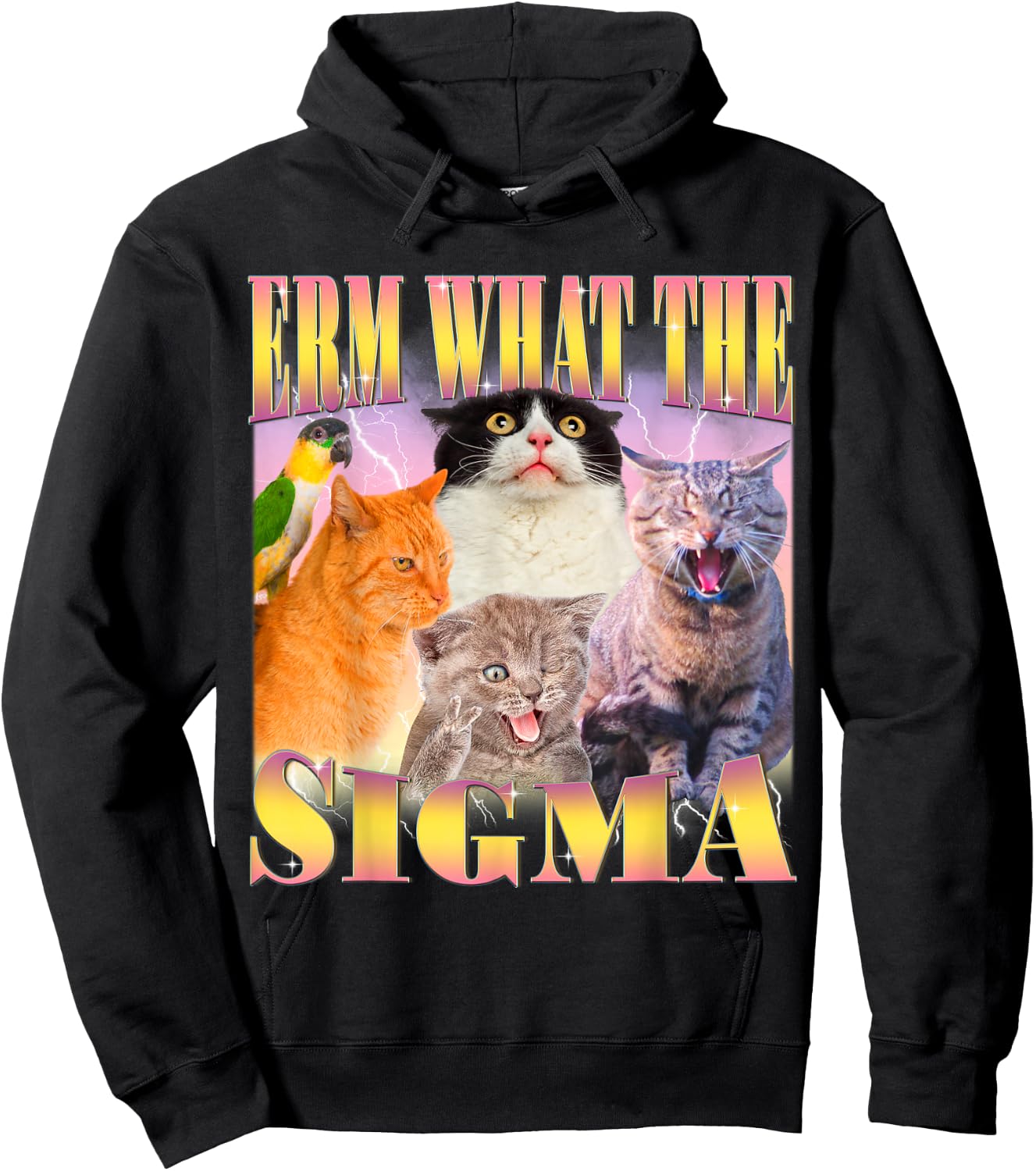 Cat Erm, What The Sigma? Funny Meme Ironic Humour Specific , Black, S Hoodie - Hoodie | Black