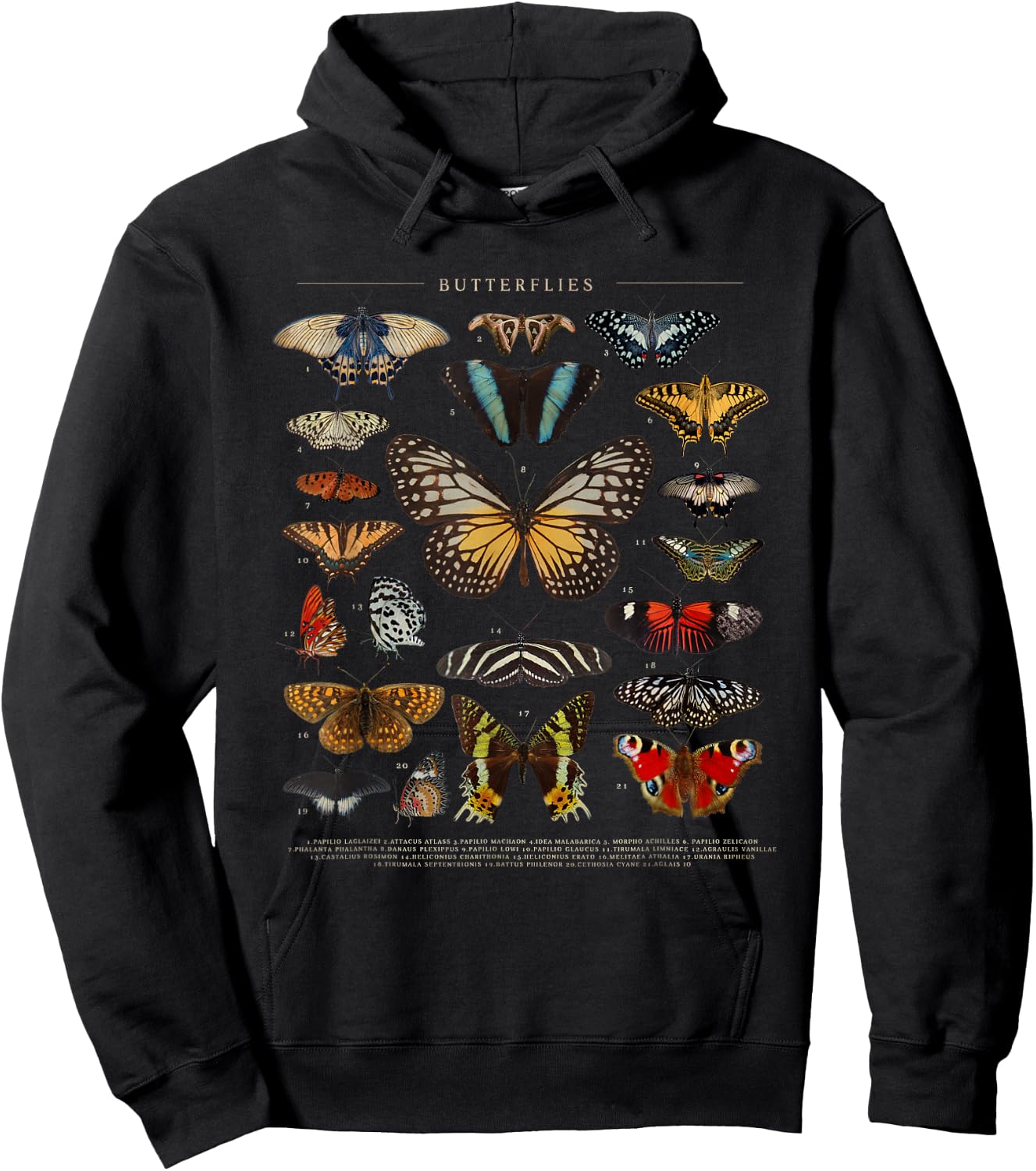 Butterfly Monarch Butterflies Colorful Hoodie - Hoodie | Black