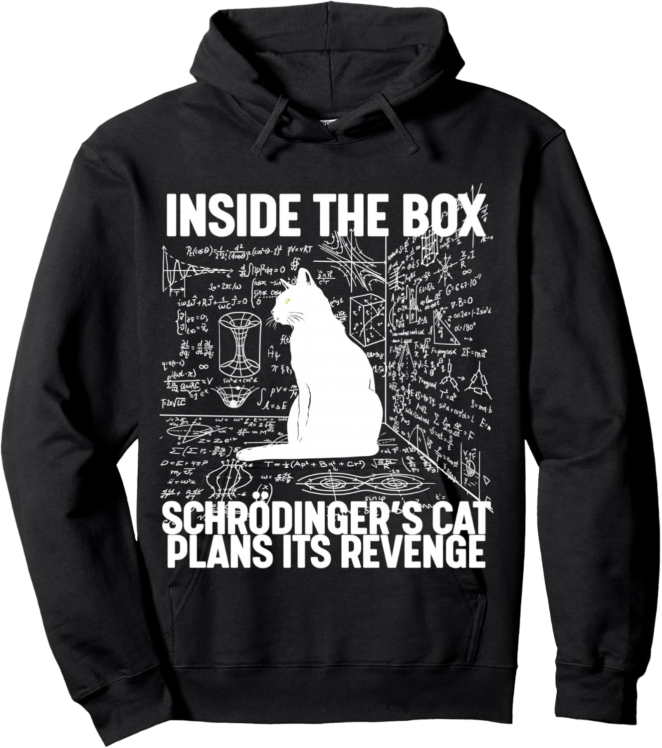 Schrodinger's Cat Plans Its Revenge Hoodie - Hoodie | Black