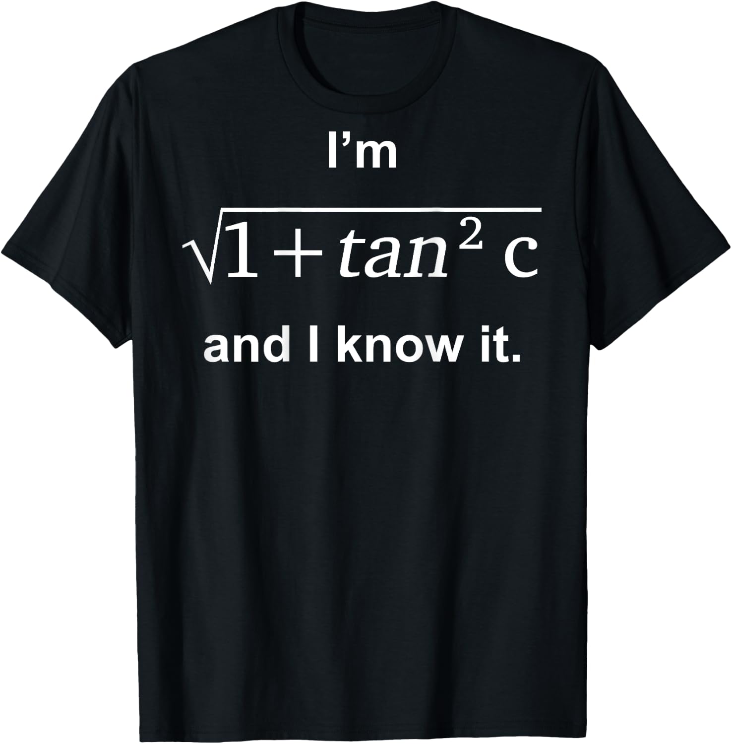 I'm 1 + Tan 2c And I Know It (on back) T-Shirt - T-Shirt | Black