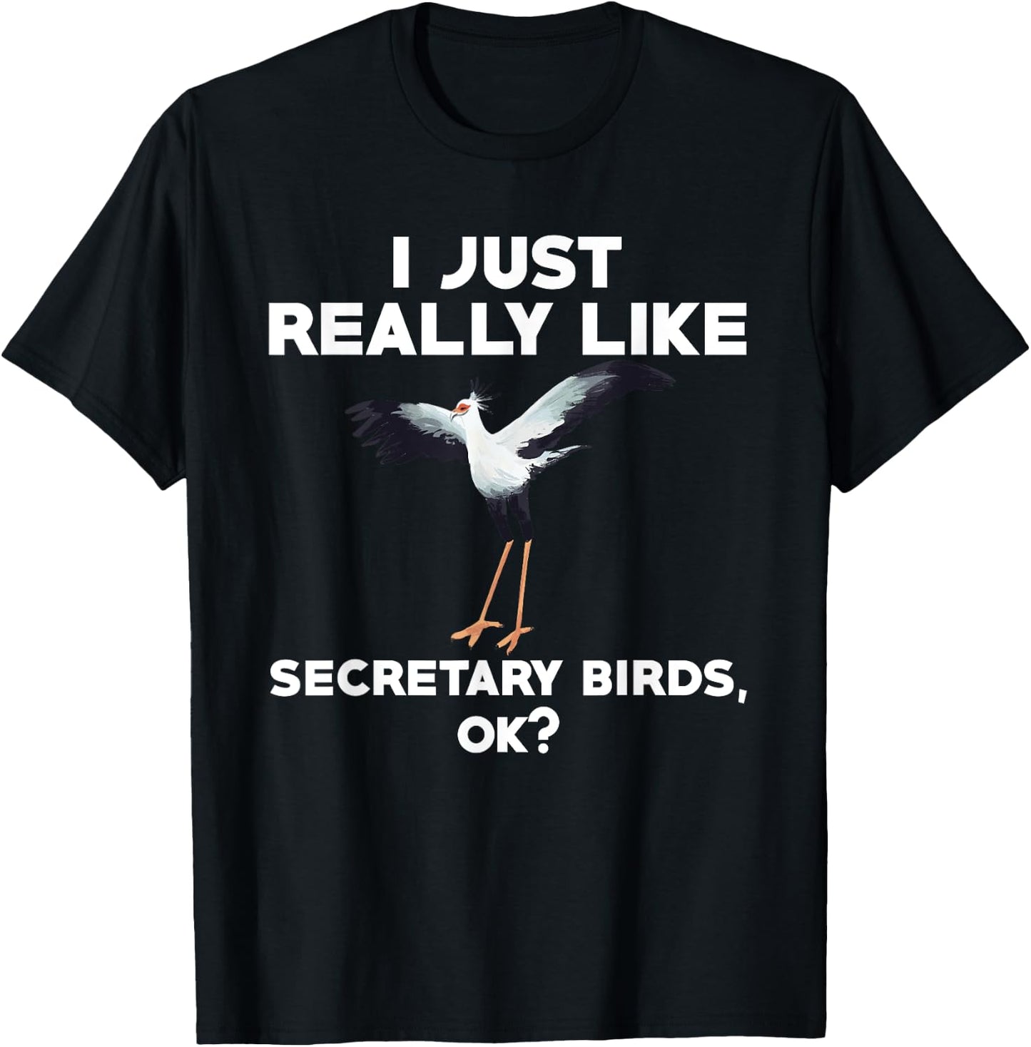 Funny Secretary Bird Saying Bird Watching Birding T-Shirt - T-Shirt | Black