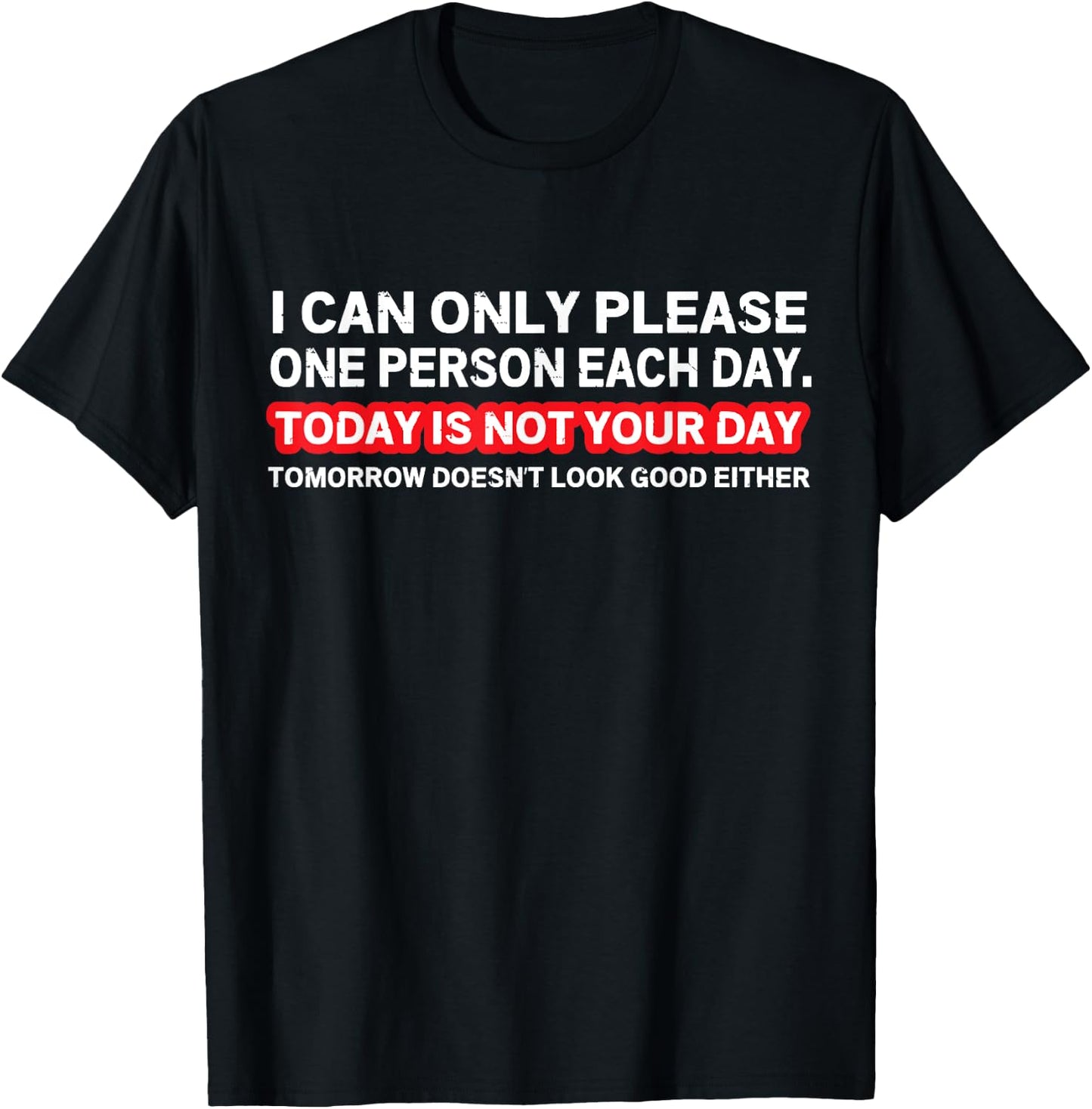 I Can Only Please One Person Per Day Sarcastic Quote T-Shirt - T-Shirt | Black