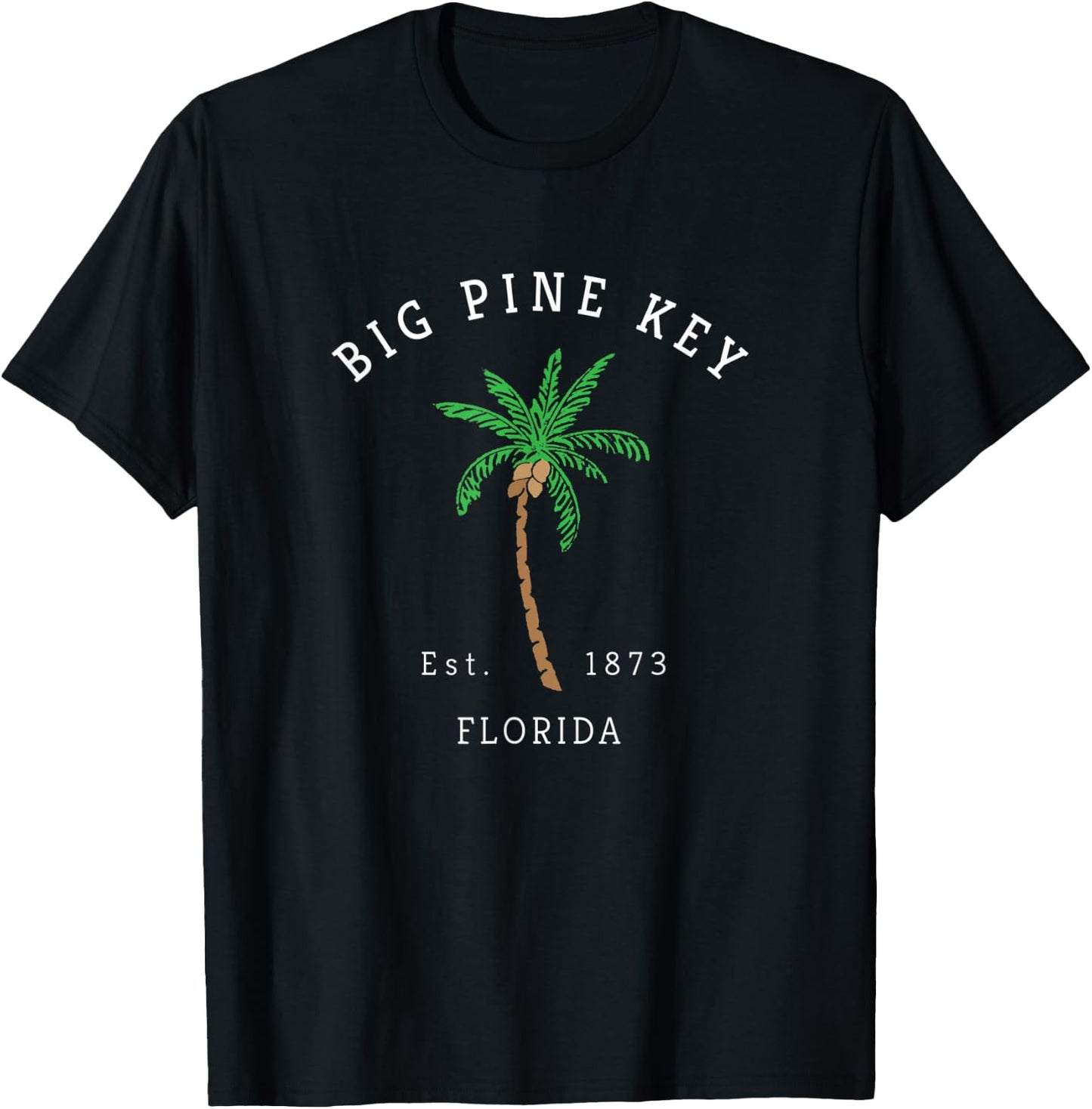 Retro Cool Big Pine Key Florida Keys Colorful Palm Tree T-Shirt - T-Shirt | Black