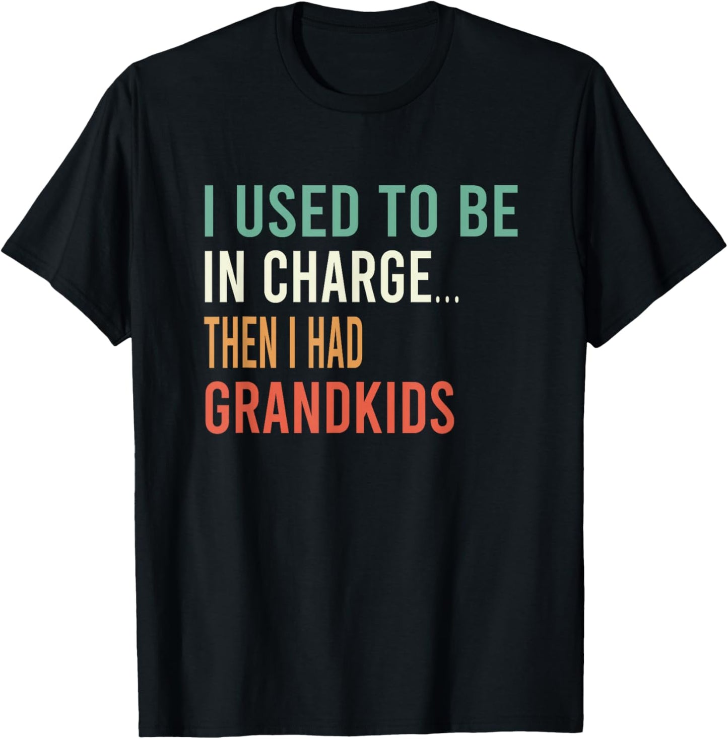 I Used to Be in Charge Then I Had Grandkids T-Shirt - T-Shirt | Black