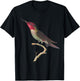 Hummingbird Beautiful Anna’s Hummingbird T-Shirt - T-Shirt | Black