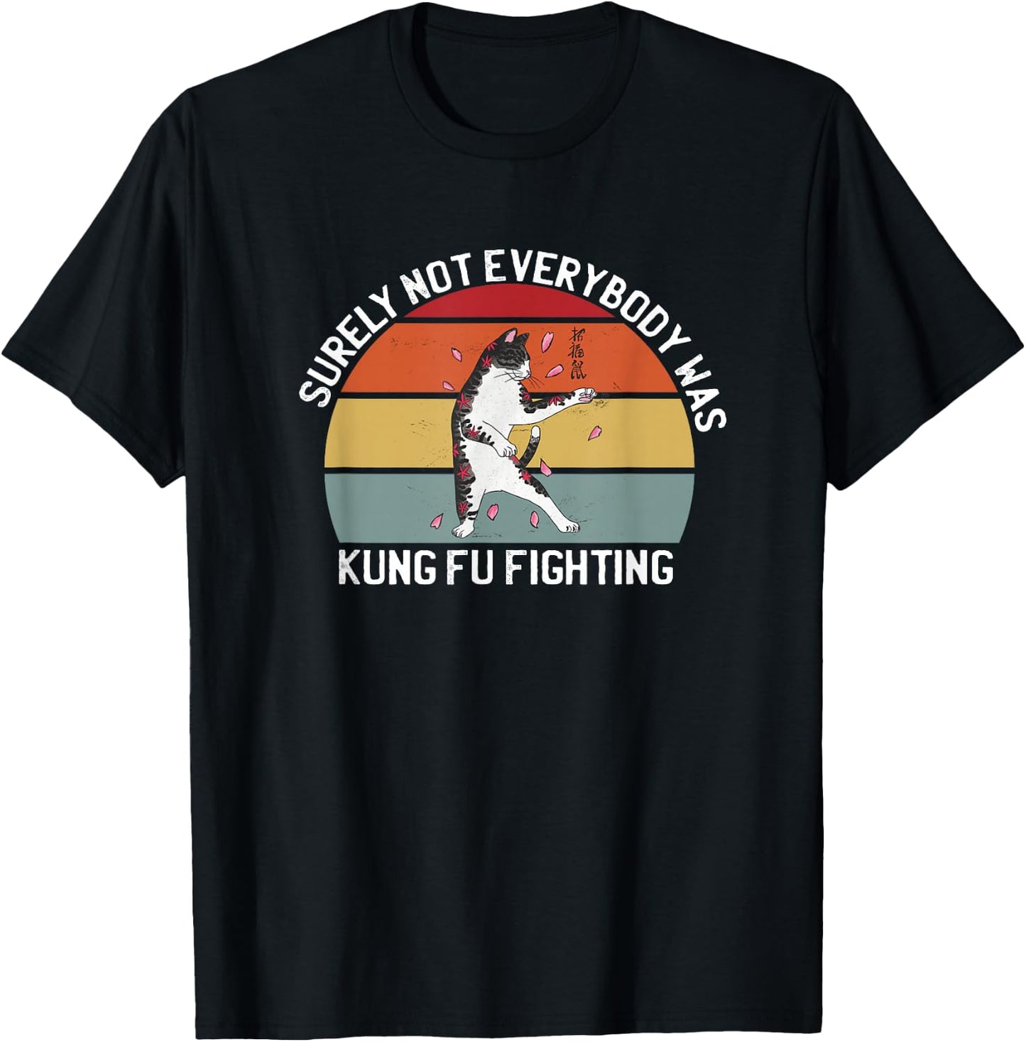 Surely Not Everybody Was Kung Fu Fighting King Fu Fighting T-Shirt - T-Shirt | Black