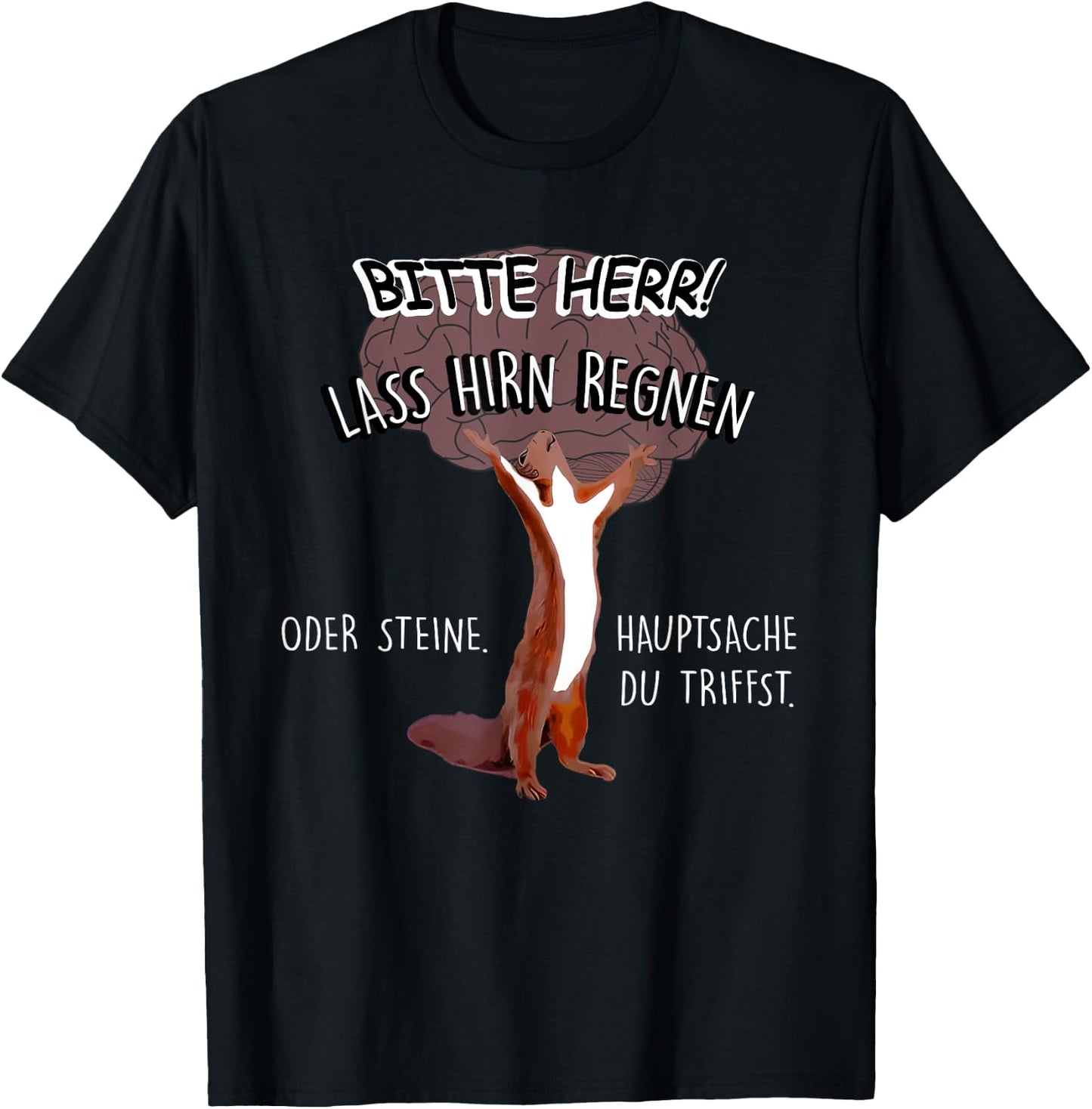 Bitte Herr Lass Hirn Regnen Oder Steine Hauptsache T-Shirt - T-Shirt | Black