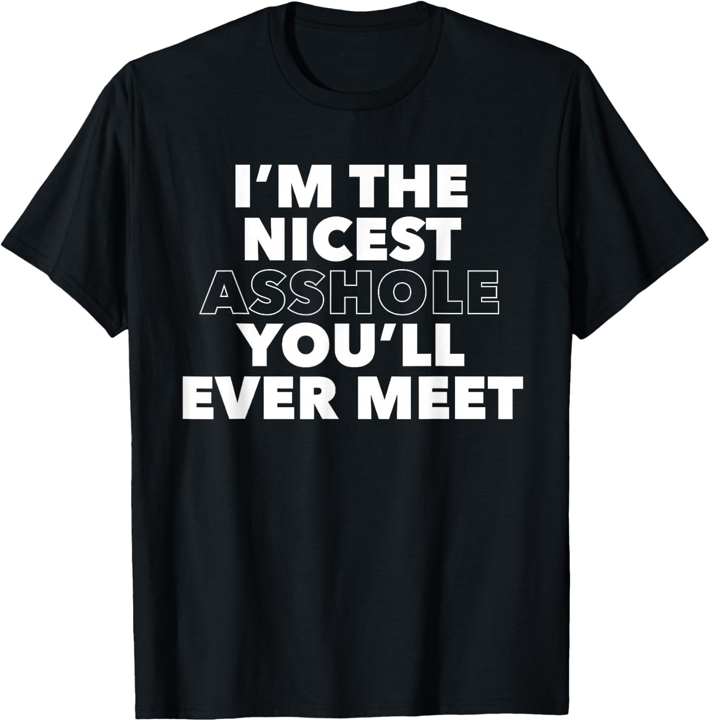I'm The Nicest Asshole You'll Ever Meet T-Shirt - T-Shirt | Black