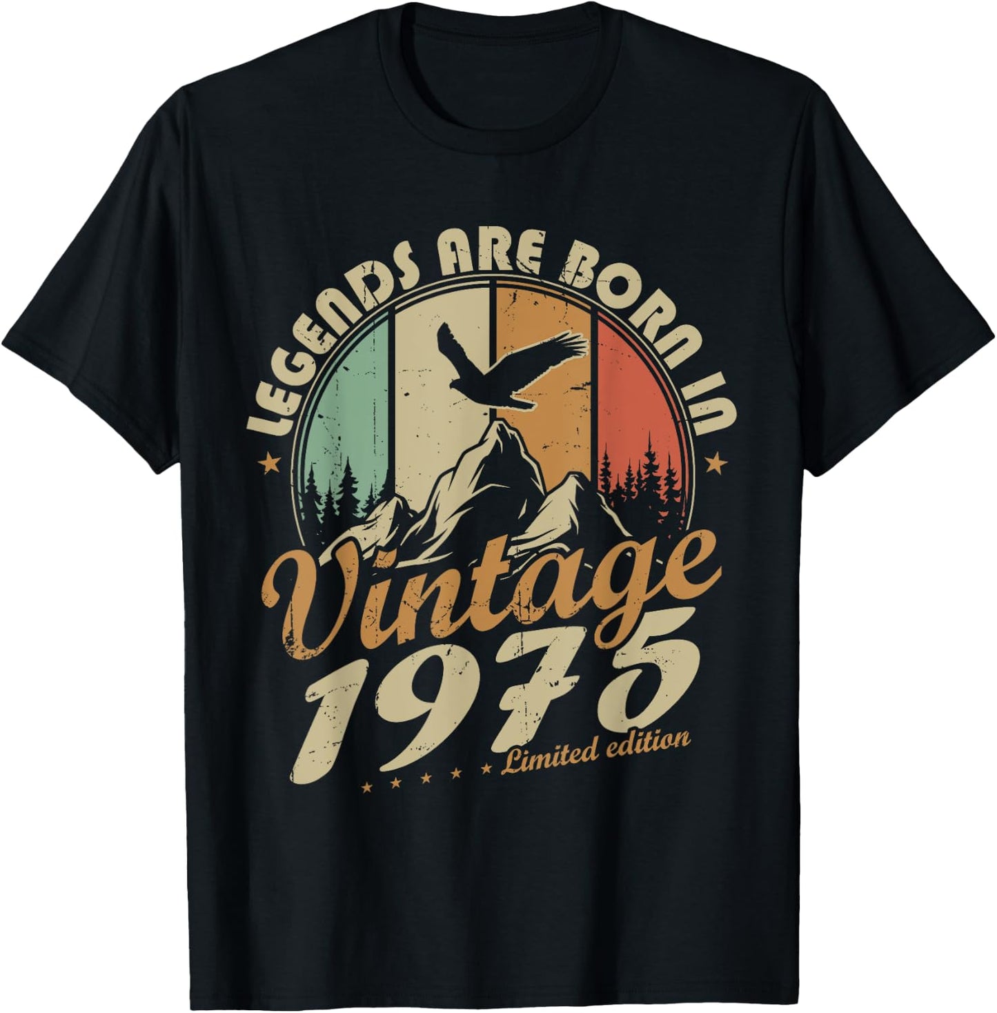 Vintage 1975 50th Birthday Gift T-Shirt - T-Shirt | Black