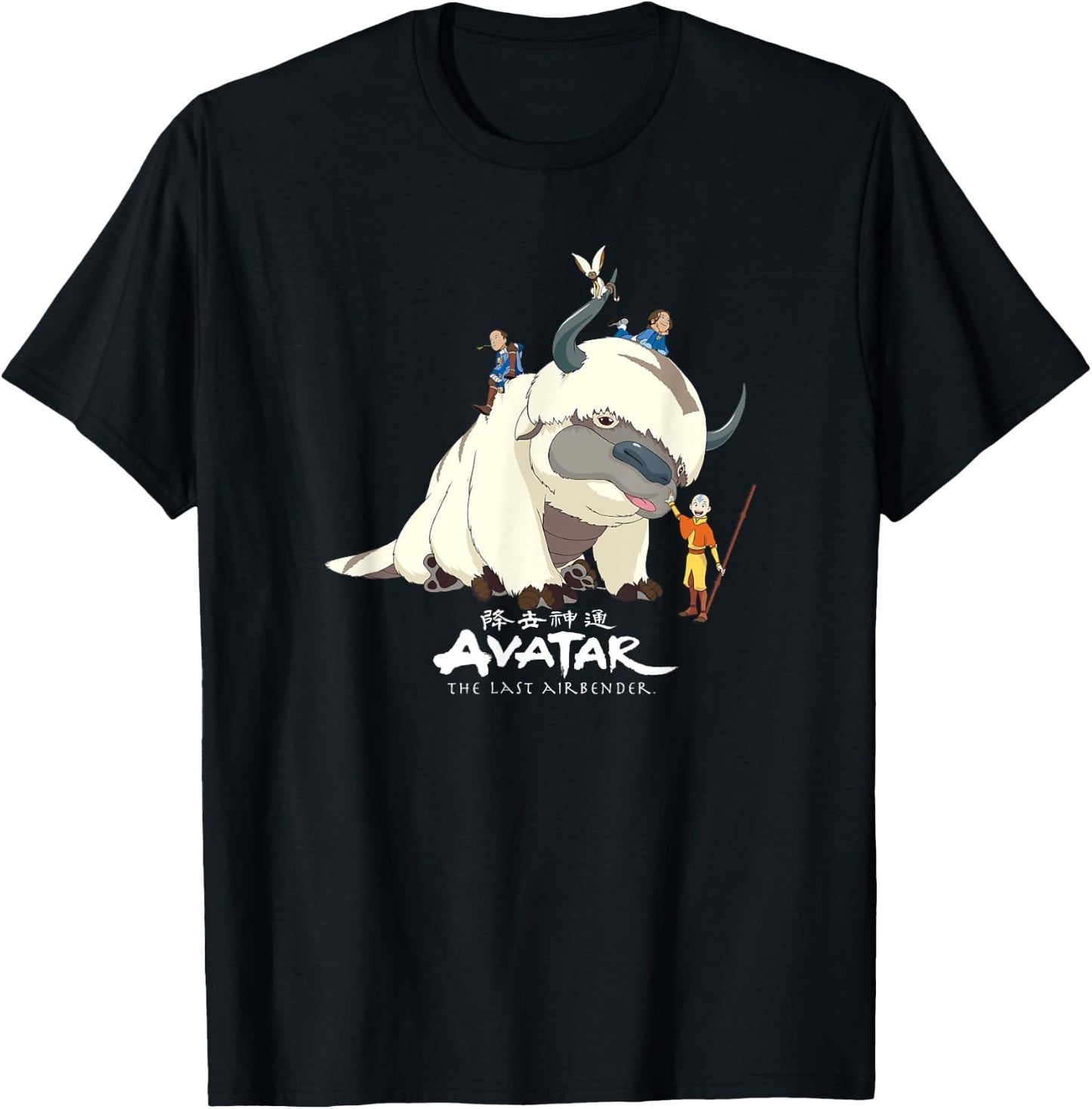 Avatar: The Last Airbender Team Avatar Group Shot Distressed T-Shirt - T-Shirt | Black