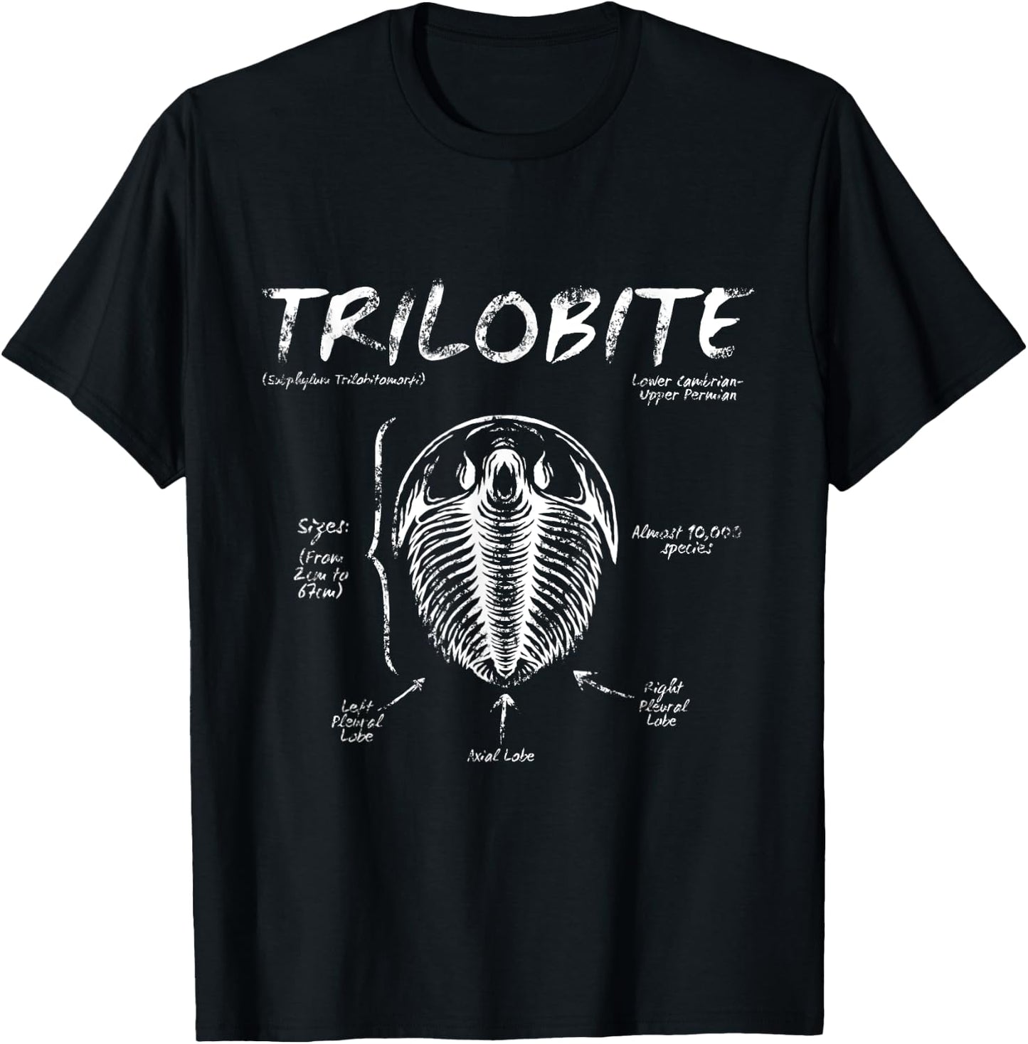 Trilobite Geology Teacher Fossil Men Women Kids T-Shirt - T-Shirt | Black